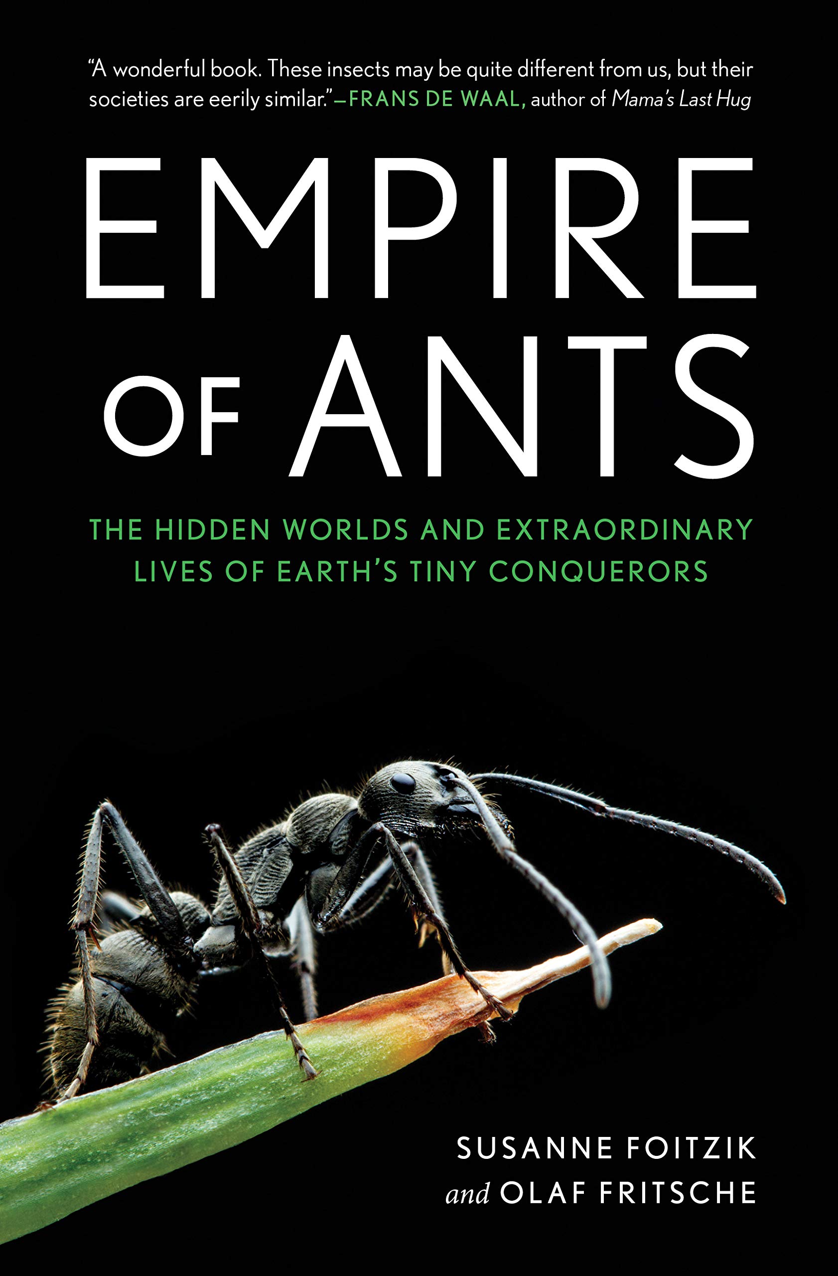 Empire of Ants | Susanne Foitzik, Olaf Fritsche