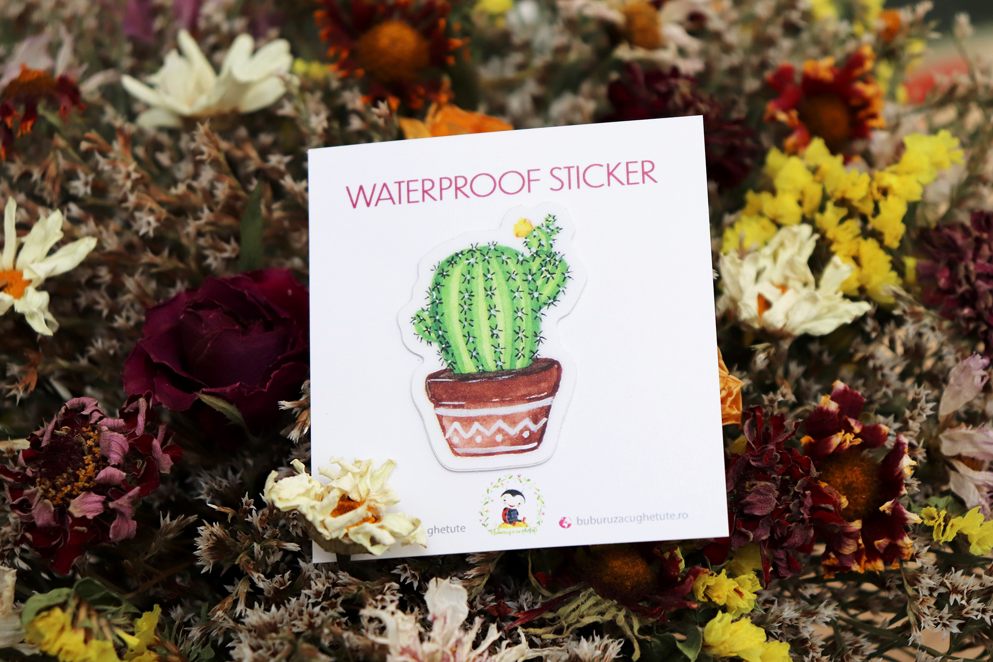 Sticker - Cactus | Buburuza cu ghetute