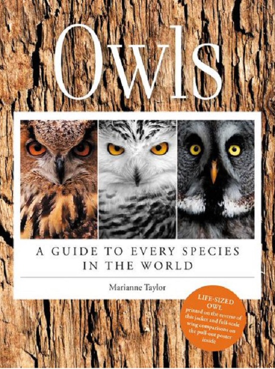 Owls: A Guide to Every Species in the World | Marianne Taylor