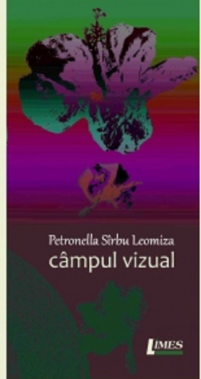 Campul vizual