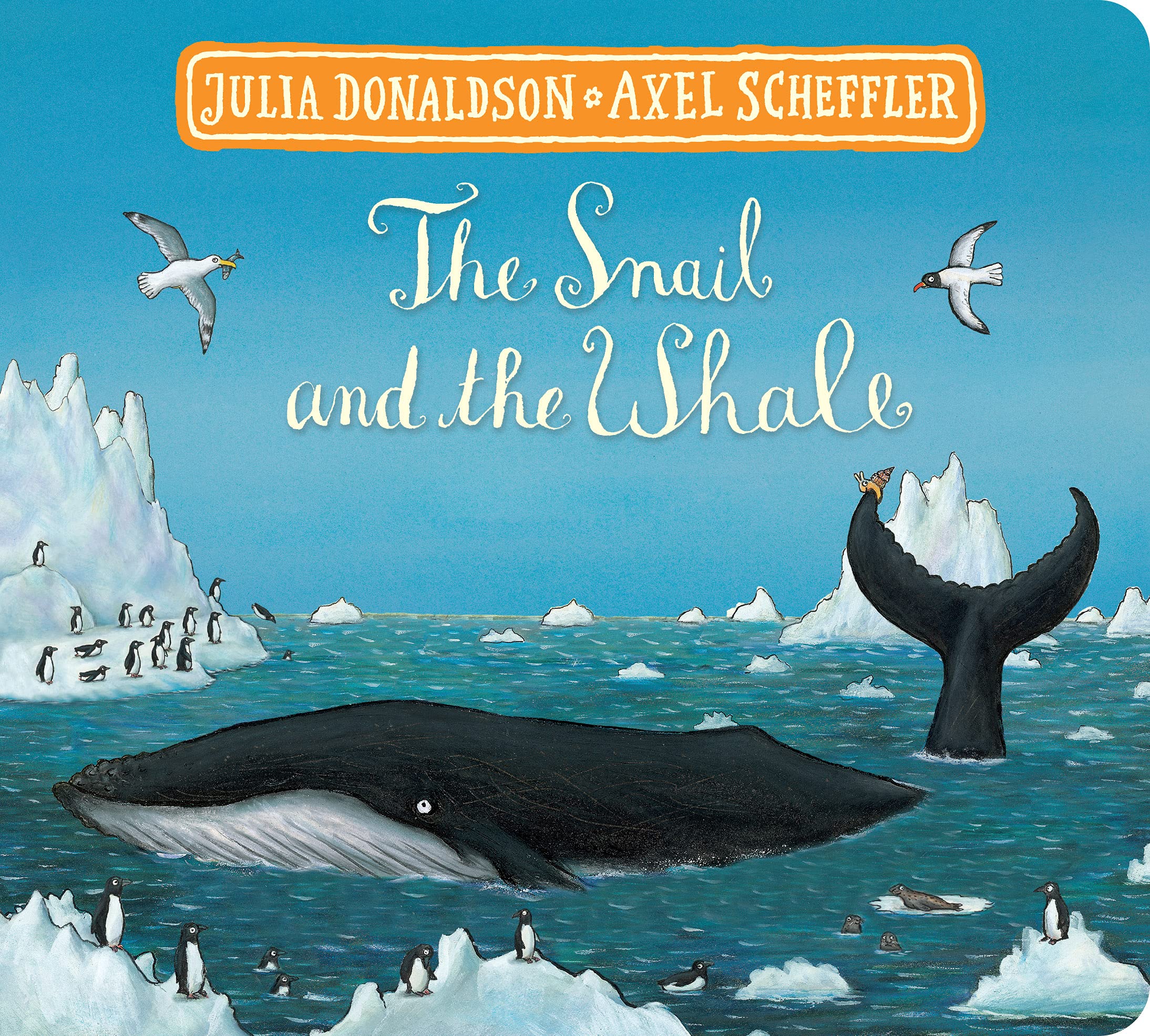 Room on the Broom and The Snail and the Whale (Board Book Gift Slipcase) | Julia Donaldson image2