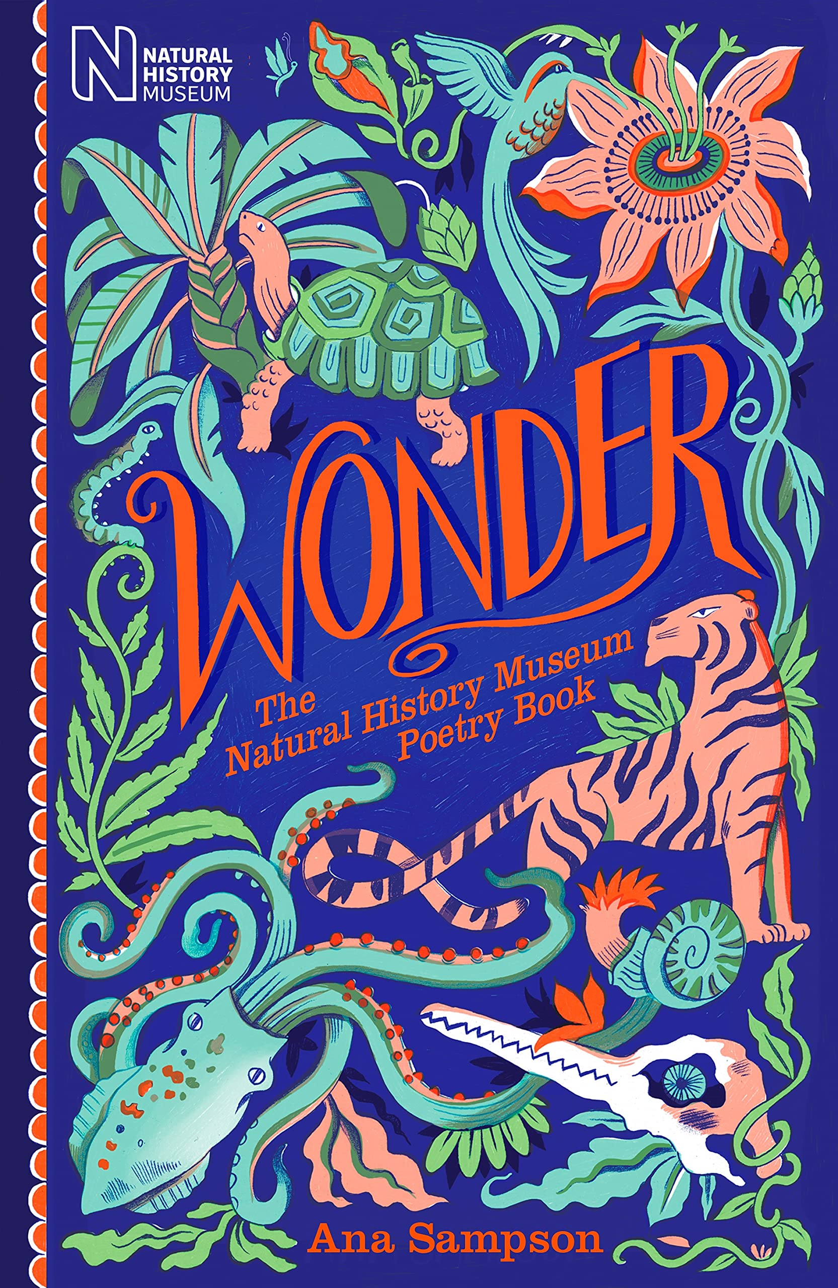 Vezi detalii pentru Wonder | Ana Sampson