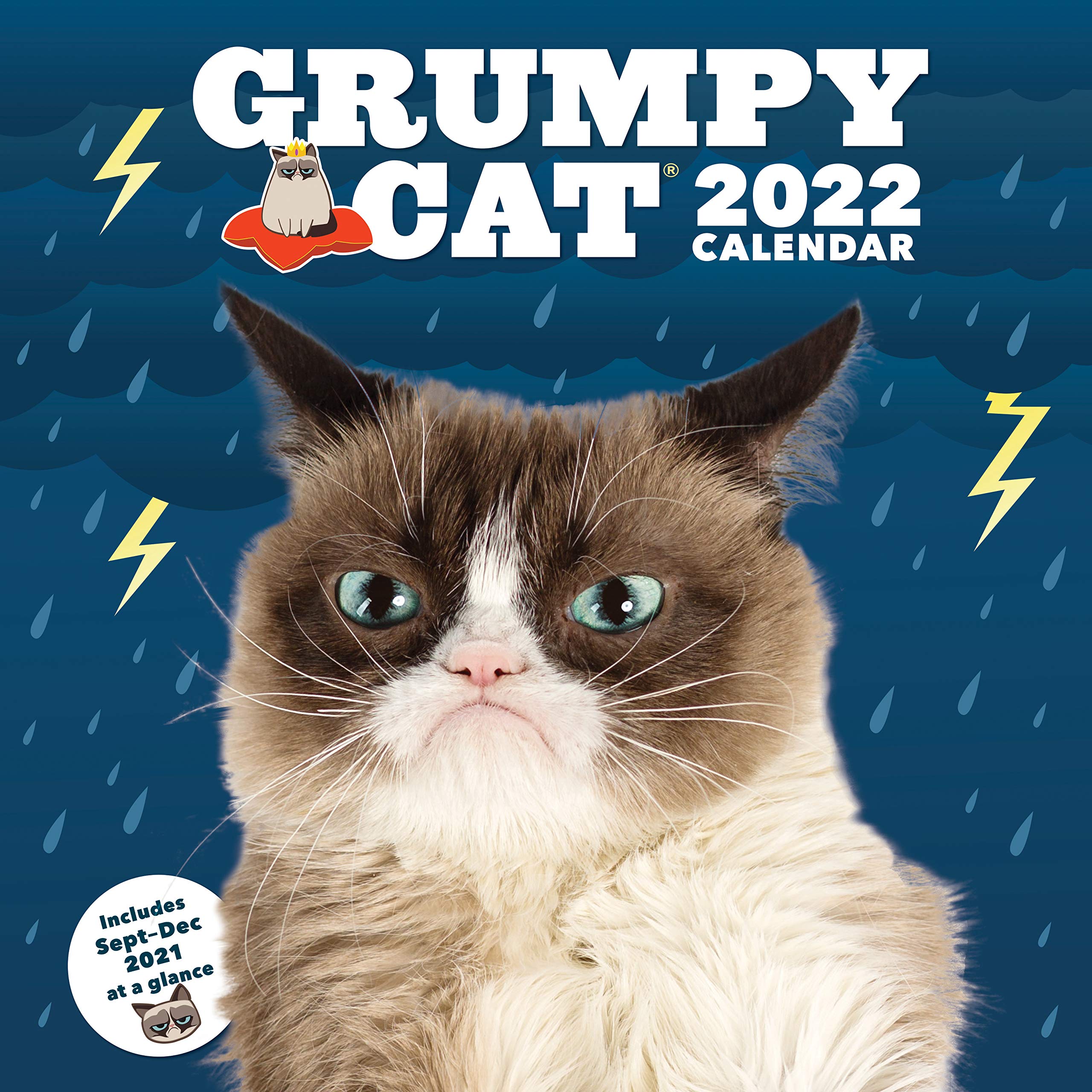 Calendar de perete - Grumpy Cat 2022 | Chronicle Books