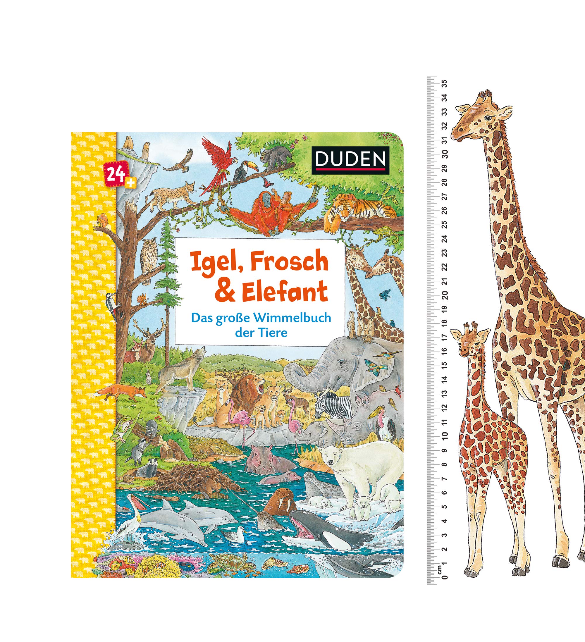 Duden 24+: Igel, Frosch & Elefant | Christina Braun - 1 | YEO