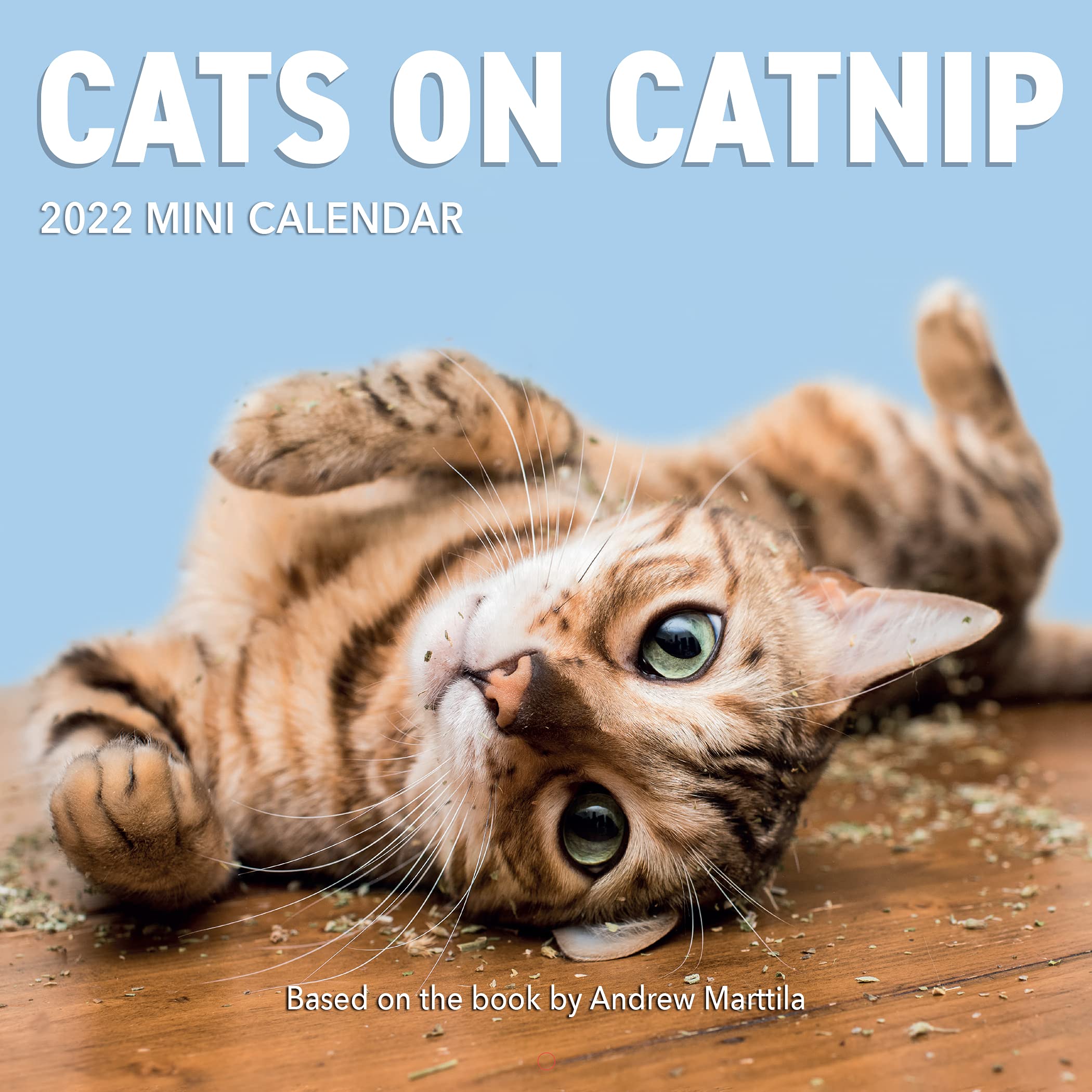 Calendar 2022 - Cats on Catnip | Workman Publishing