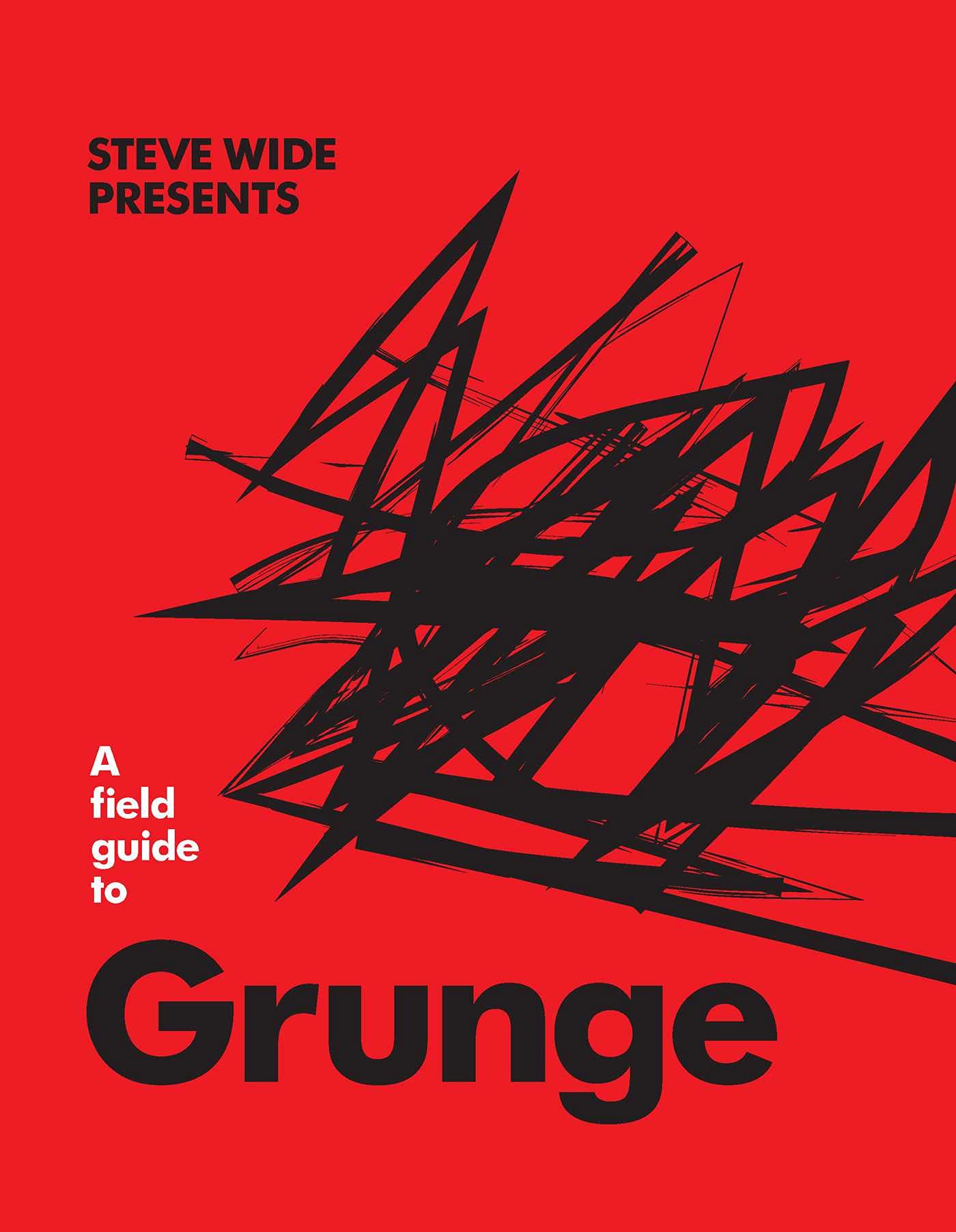 A Field Guide to Grunge | Steve Wide
