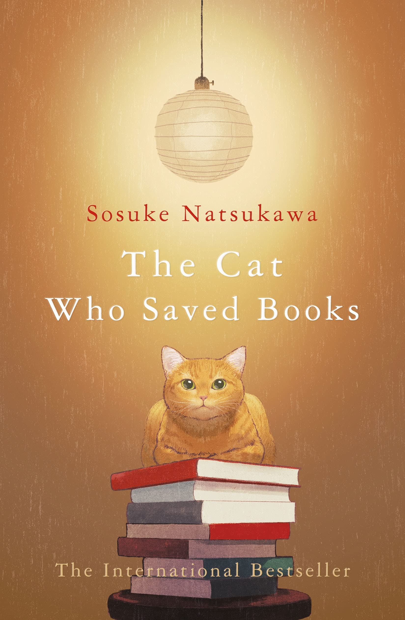 The Cat Who Saved Books | Sosuke Natsukawa