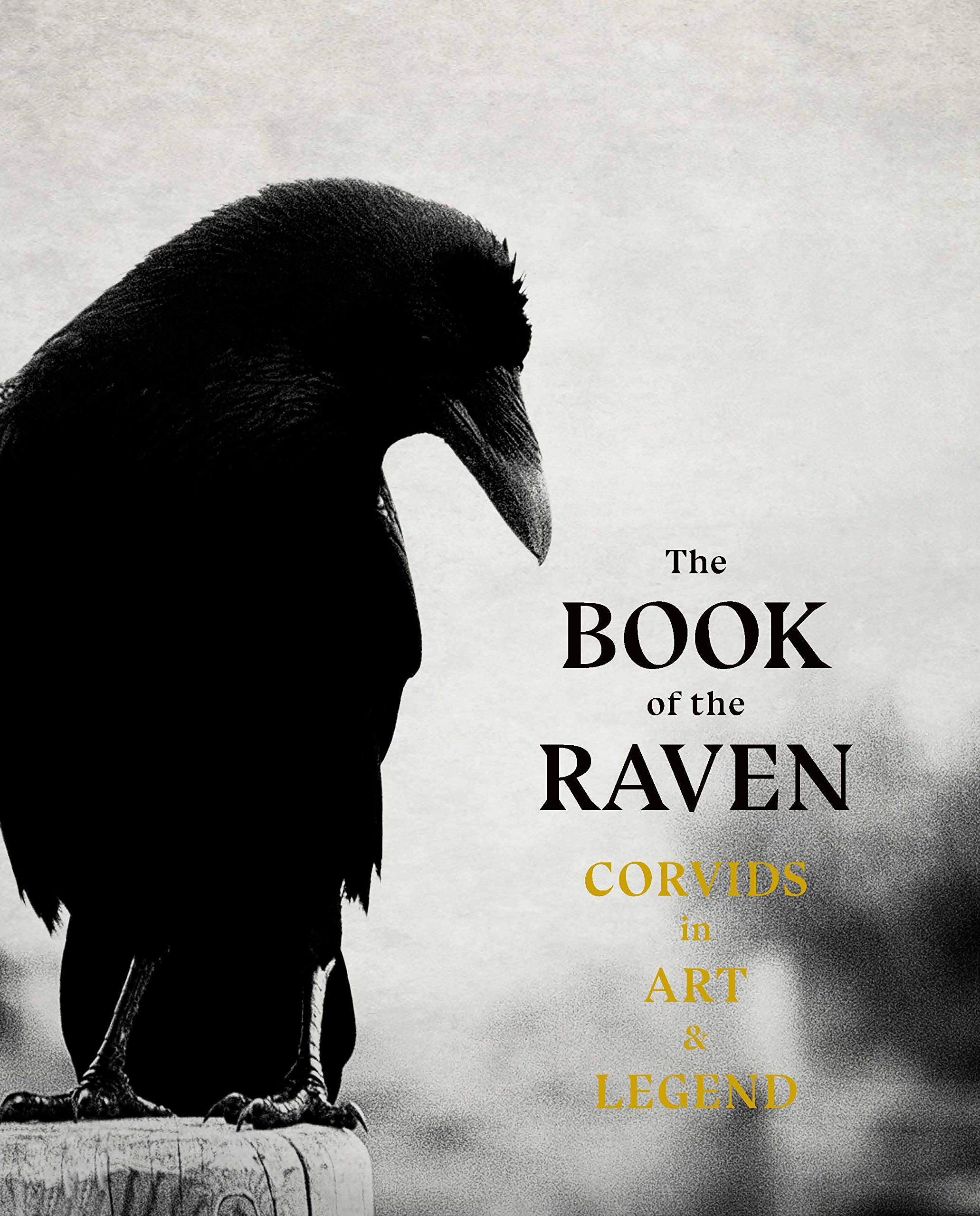 The Book of the Raven | Angus Hyland, Caroline Roberts