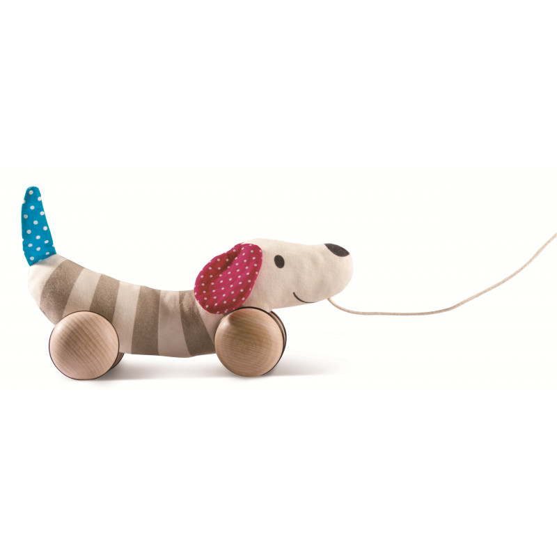 Jucarie - Pull Along Dog | Hape