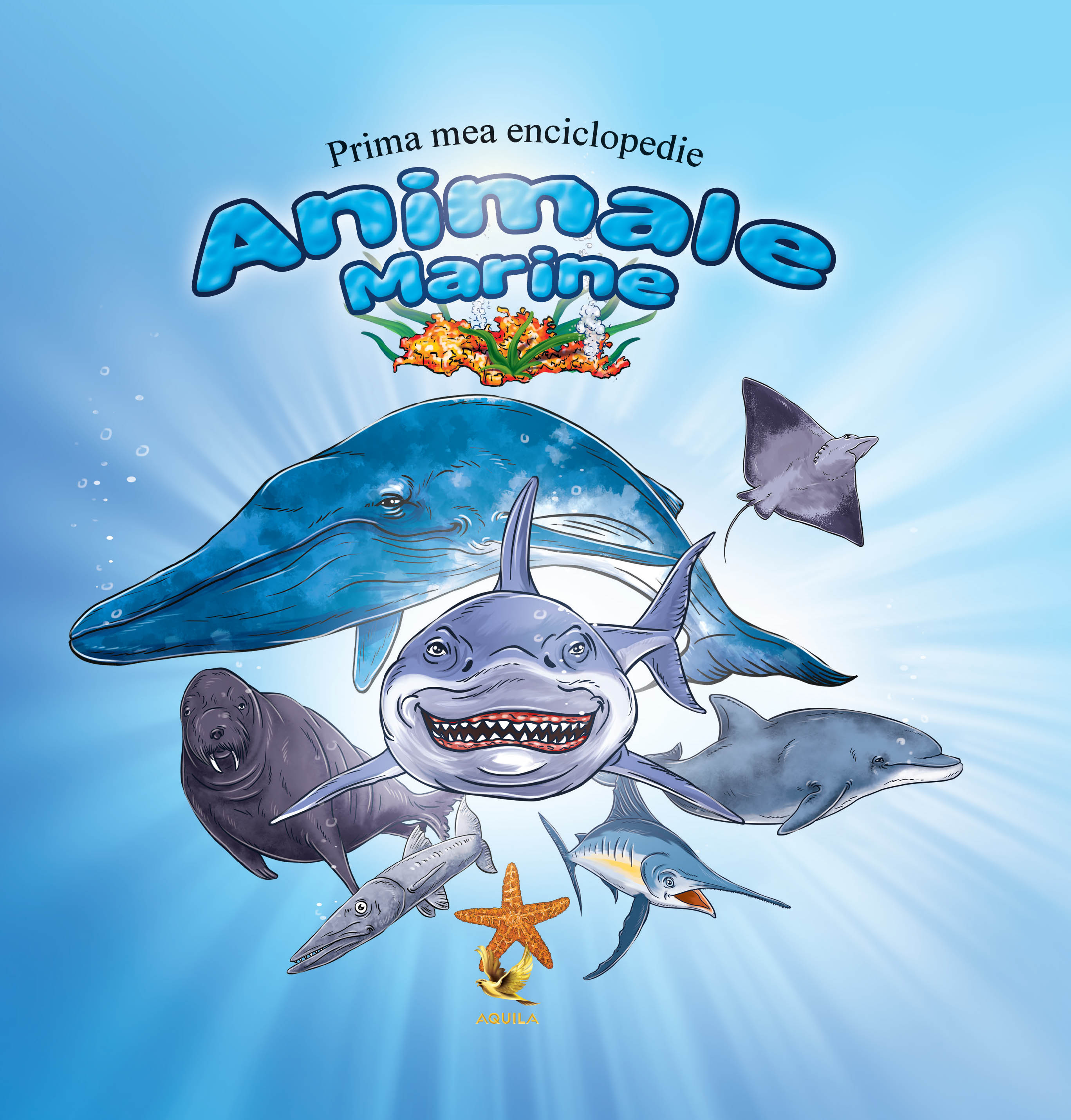 Animale marine | Aquila Carte