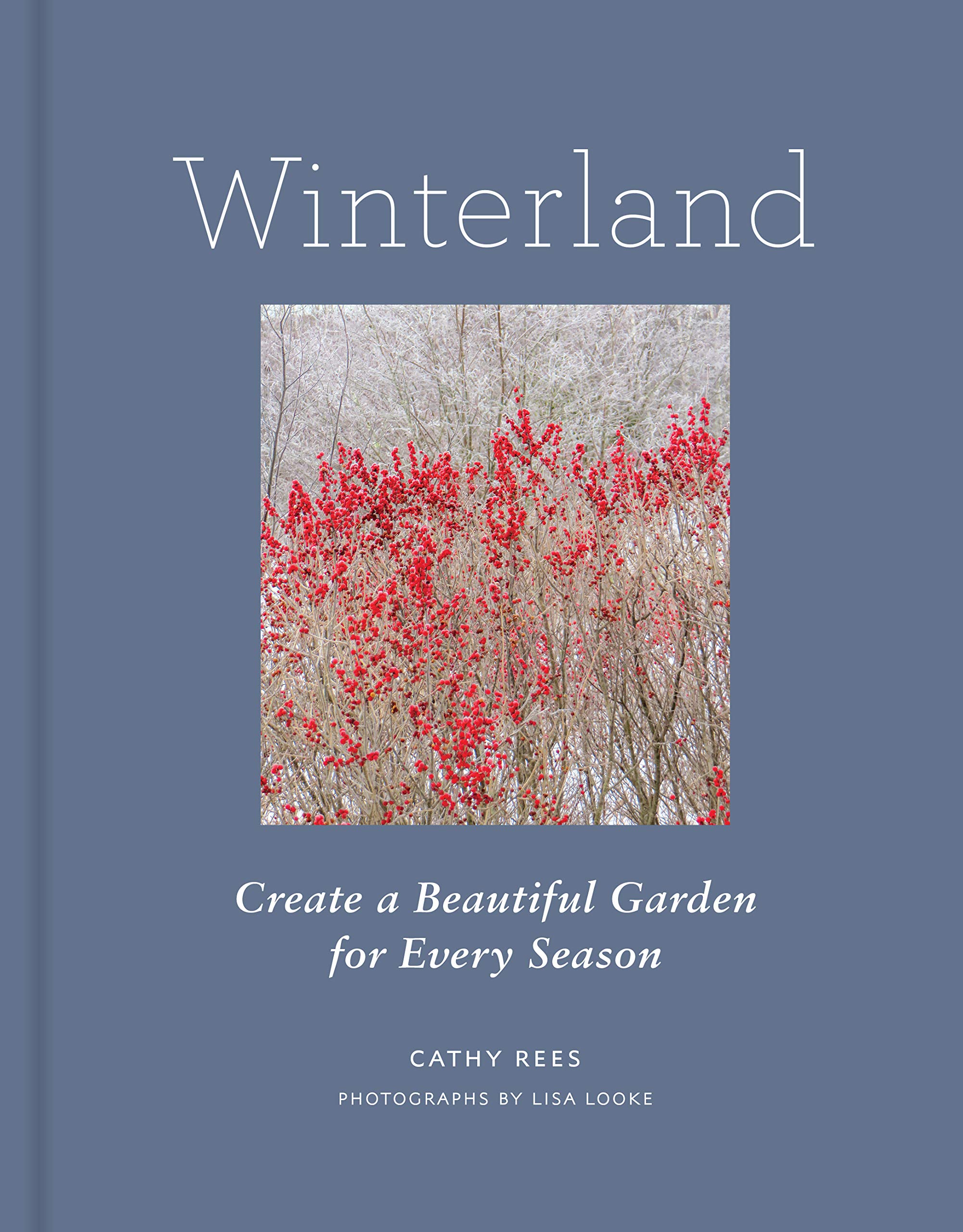 Winterland | Cathy Rees