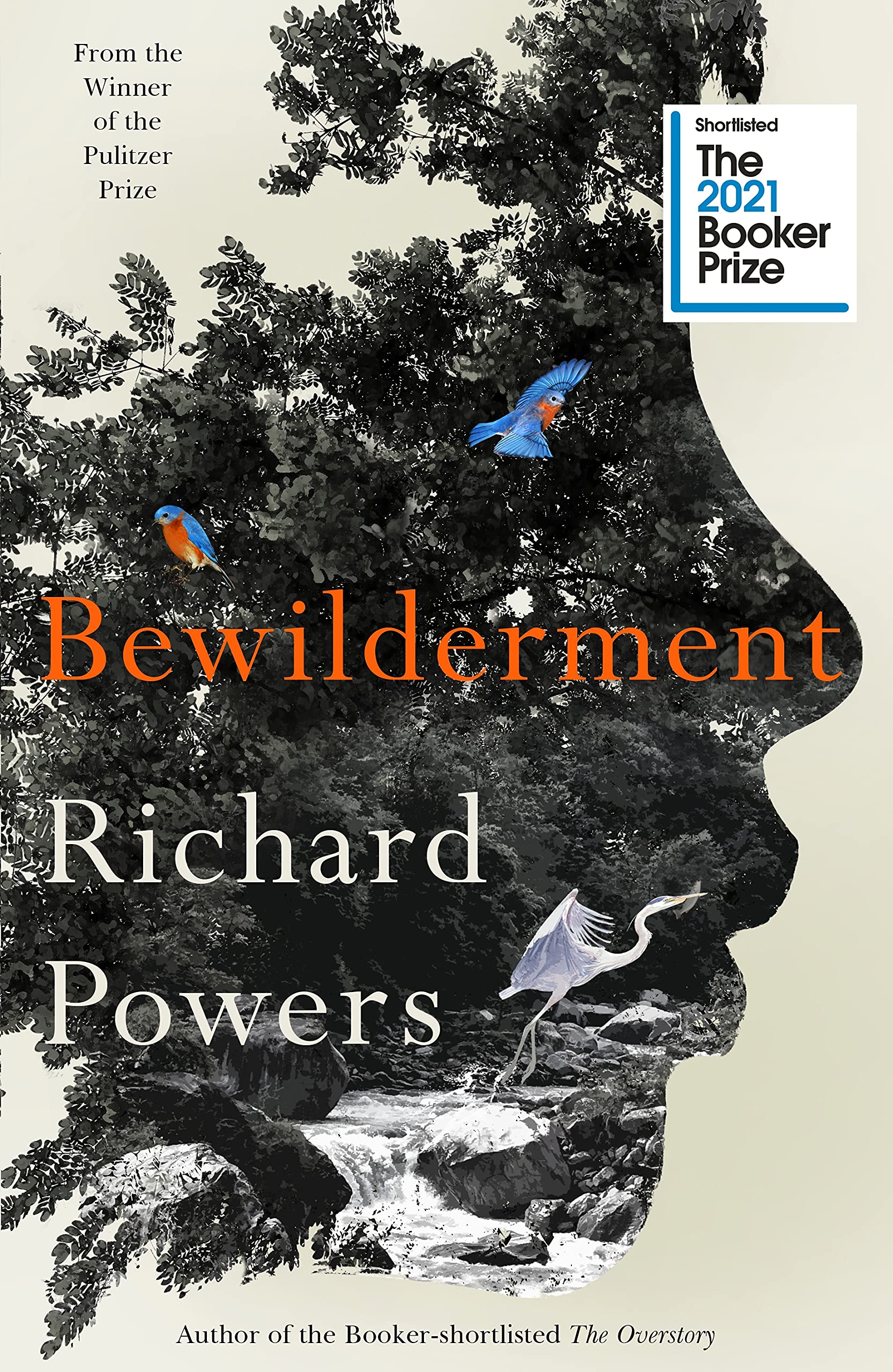 Vezi detalii pentru Bewilderment | Richard Powers