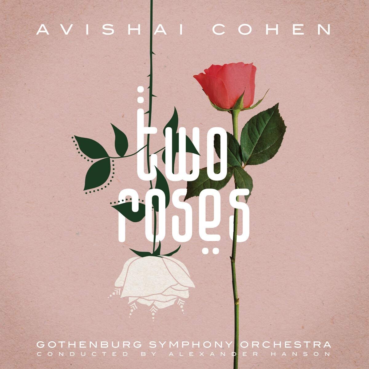 Two Roses | Avishai Cohen Avishai poza noua