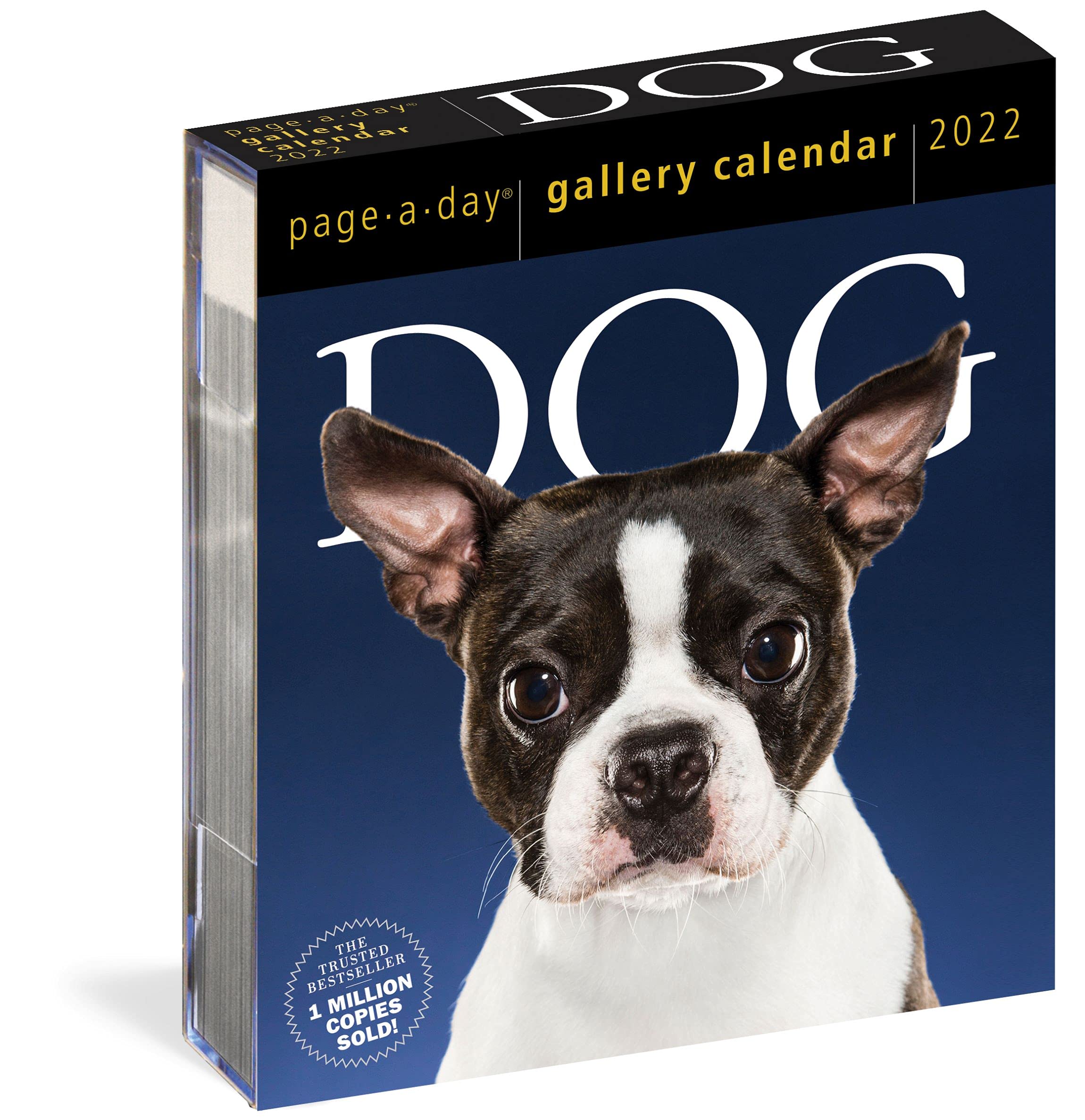 Calendar 2022 - Page-A-Day Gallery Calendar: Dog | Workman Publishing