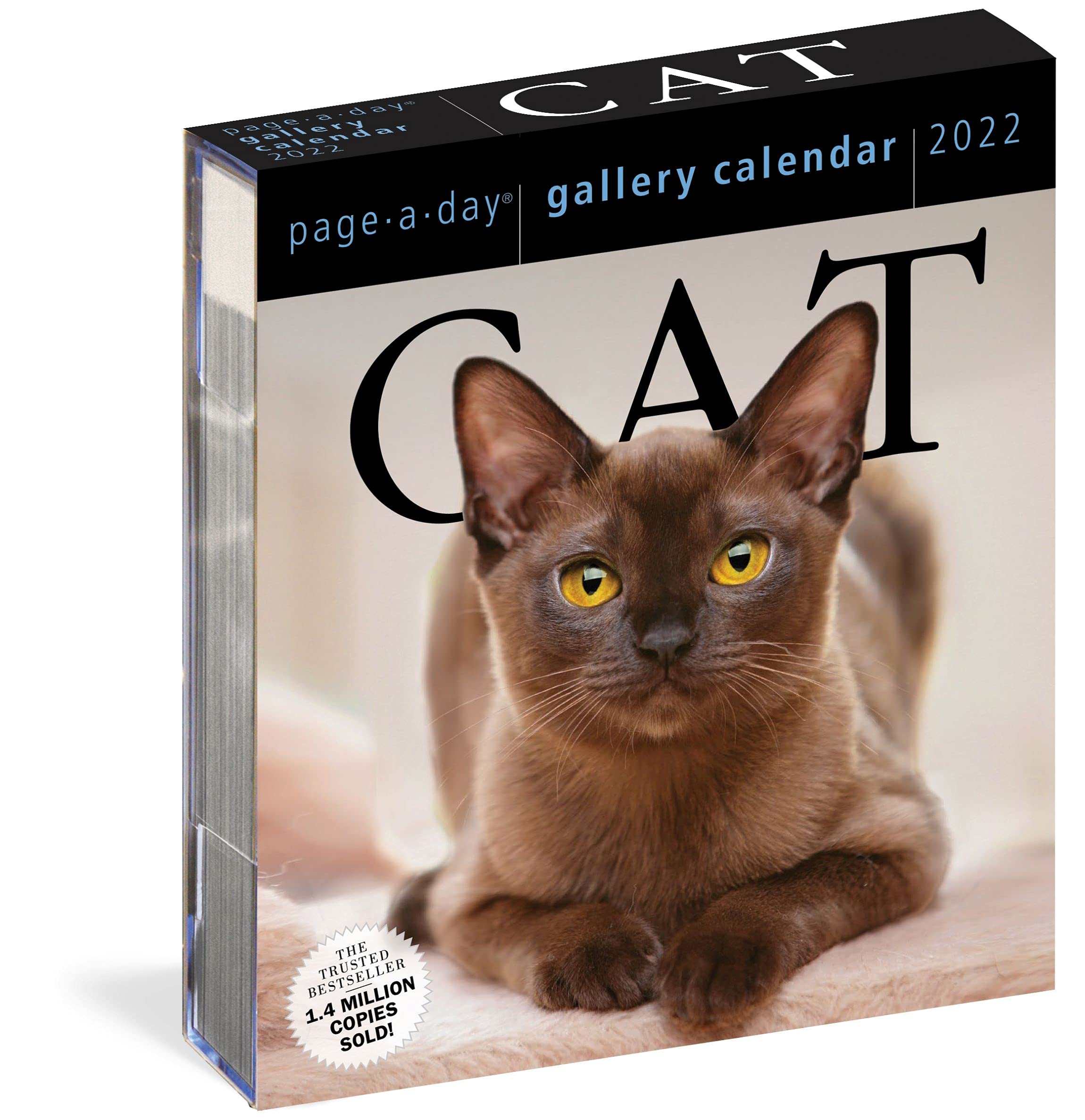 Calendar 2022 - Page-A-Day Gallery Calendar: Cat | Workman Publishing