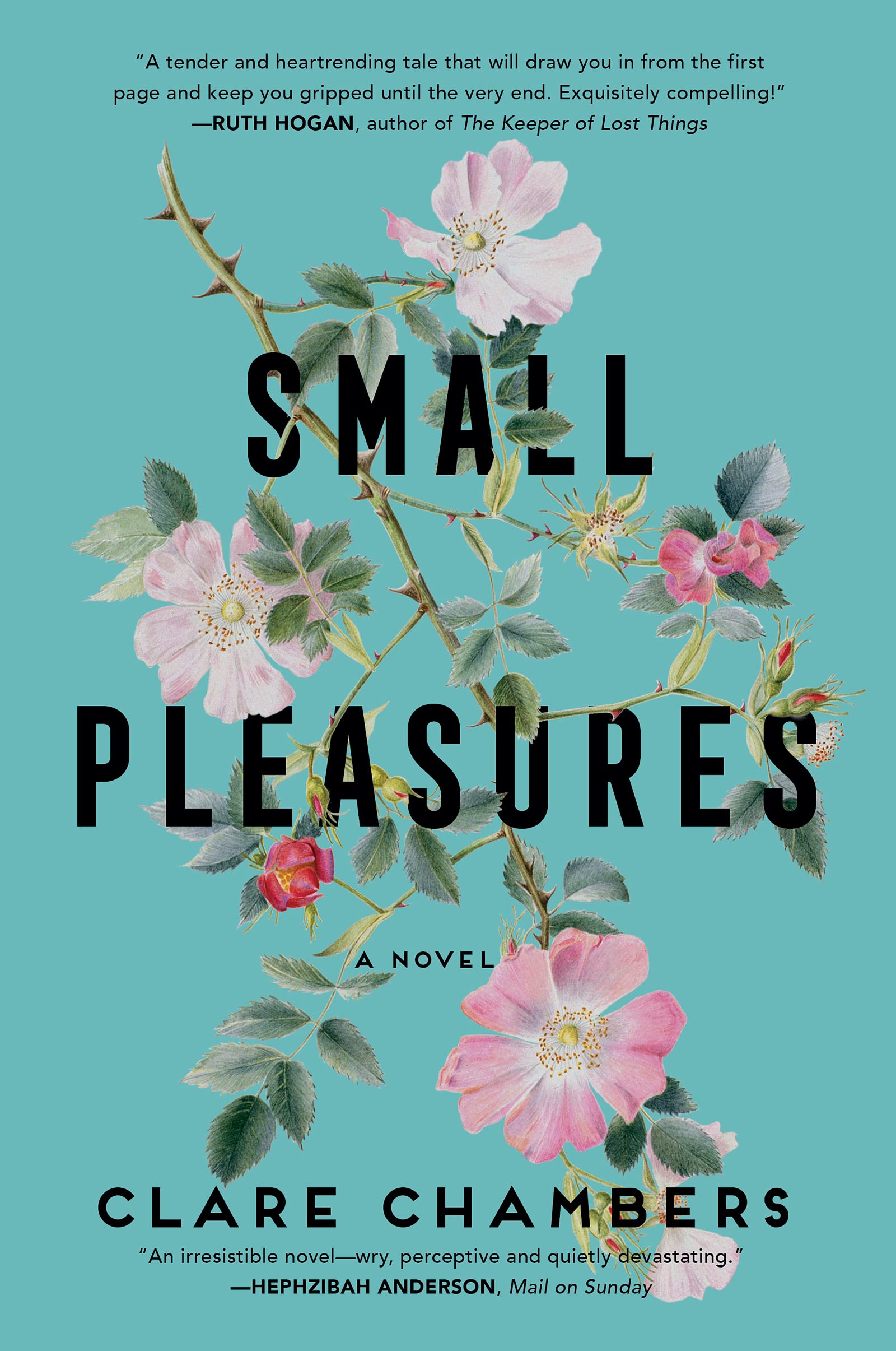 Small Pleasures | Clare Chambers