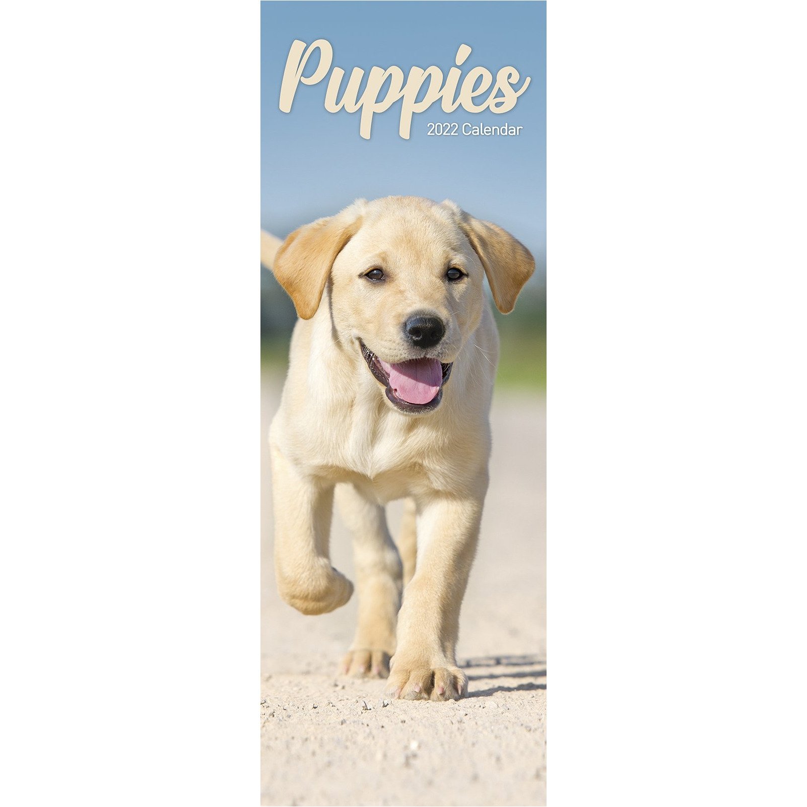 Calendar 2022 - Slimline - Puppies | Avonside Publishing Ltd