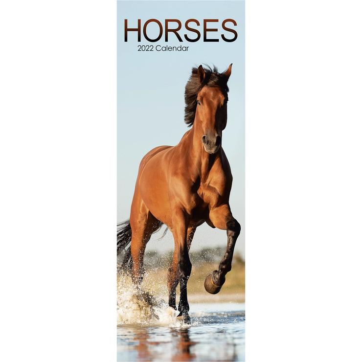 Calendar 2022 - Slimline - Horses | Avonside Publishing Ltd