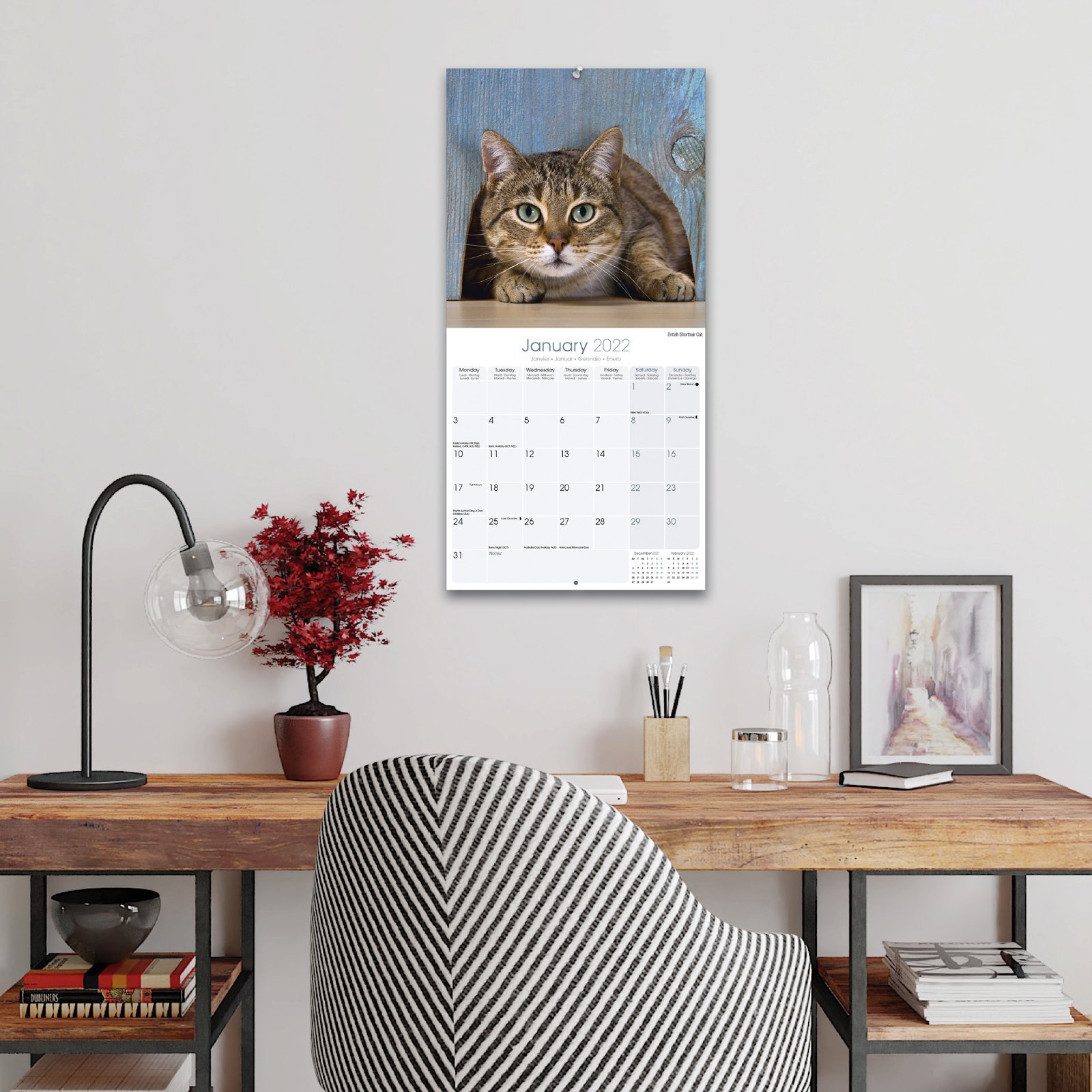 Calendar de perete 2022 - Cats | Avonside Publishing Ltd - 2 | YEO