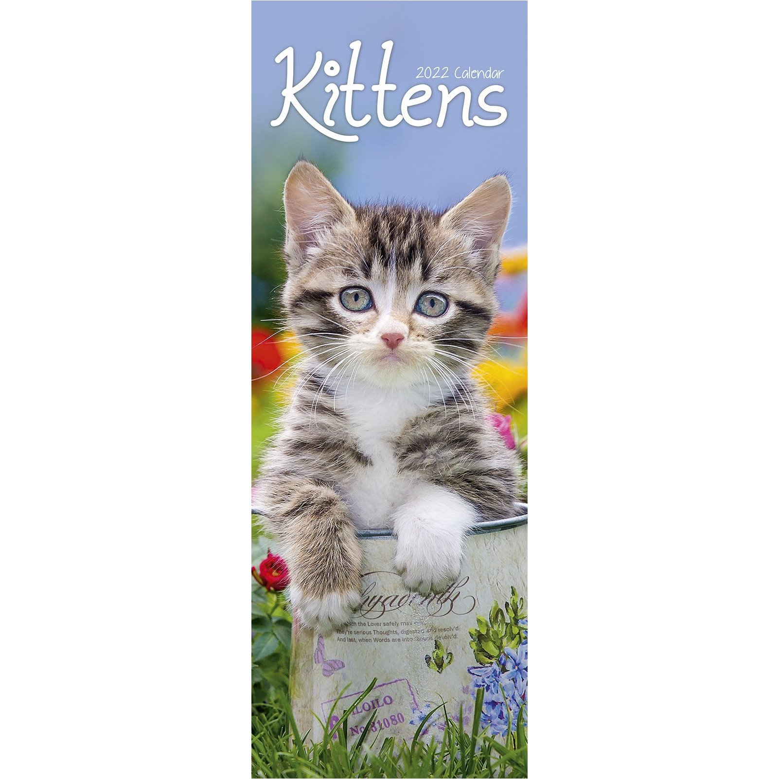 Calendar 2022 - Slimline - Kittens | Avonside Publishing Ltd