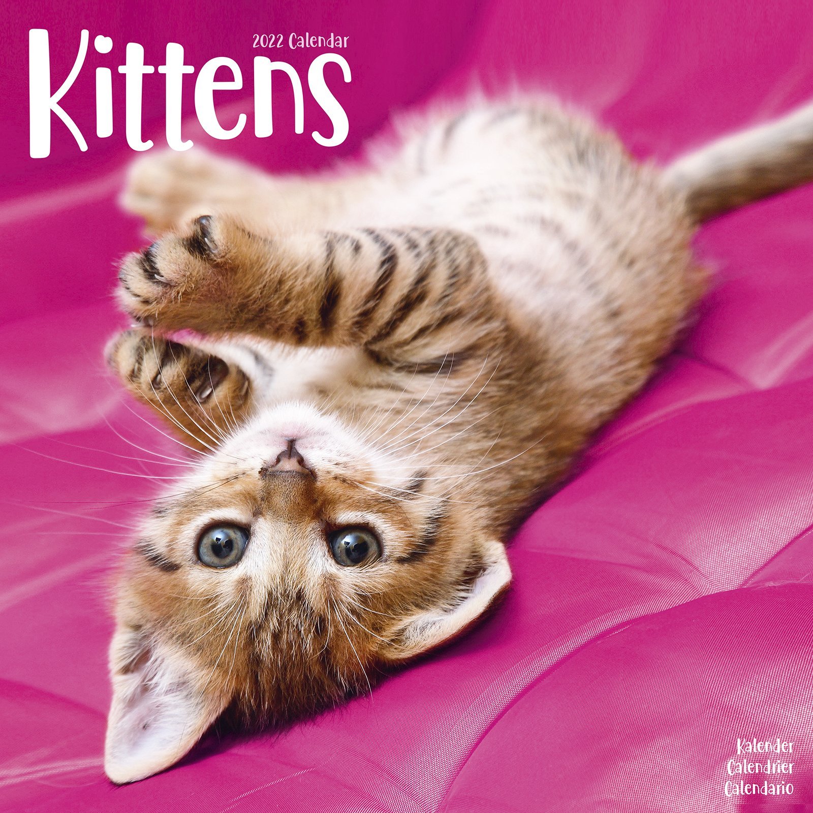 Calendar de perete 2022 - Kittens | Avonside Publishing Ltd