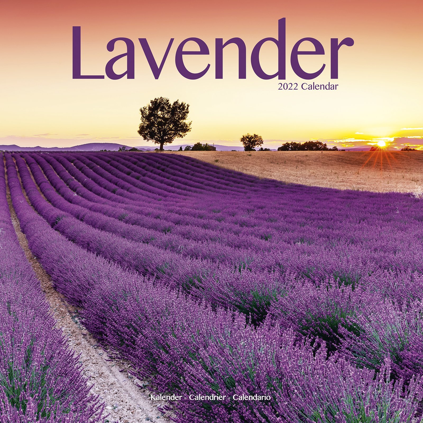 Calendar de perete 2022 - Lavender | Avonside Publishing Ltd