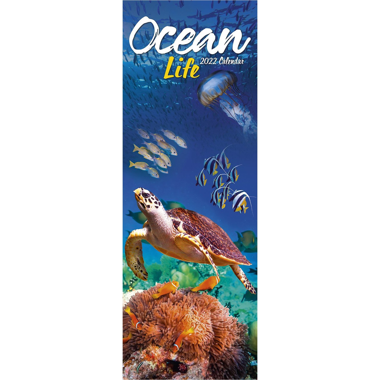 Calendar 2022 - Slimline - Ocean Life | Avonside Publishing Ltd