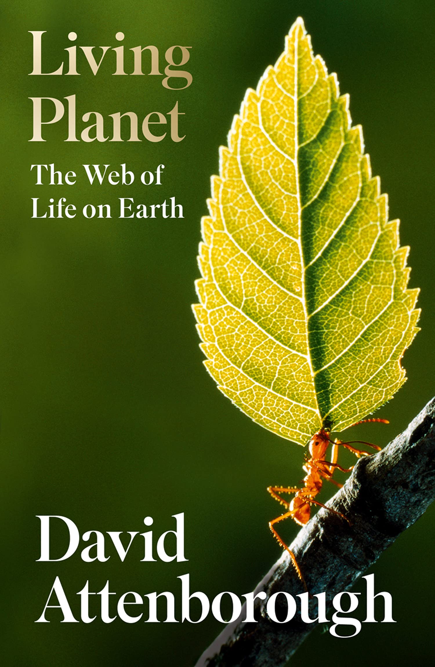 Living Planet | David Attenborough