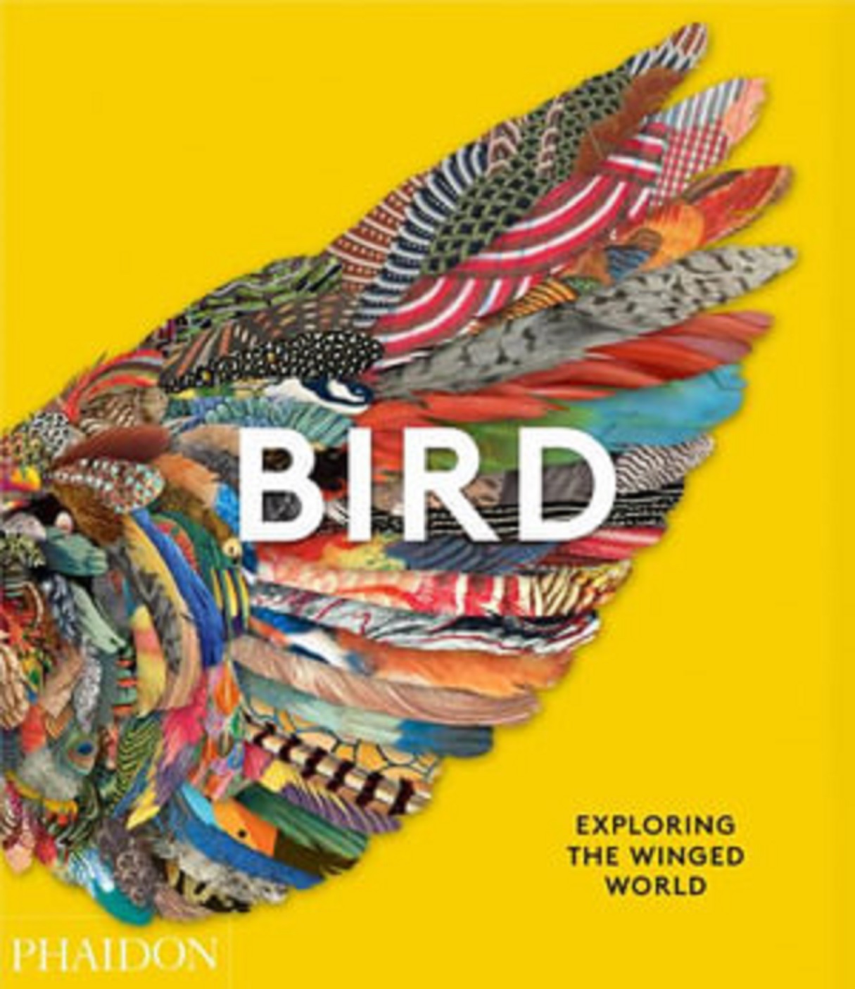 Bird | Jen Lobo, Katrina Grouw