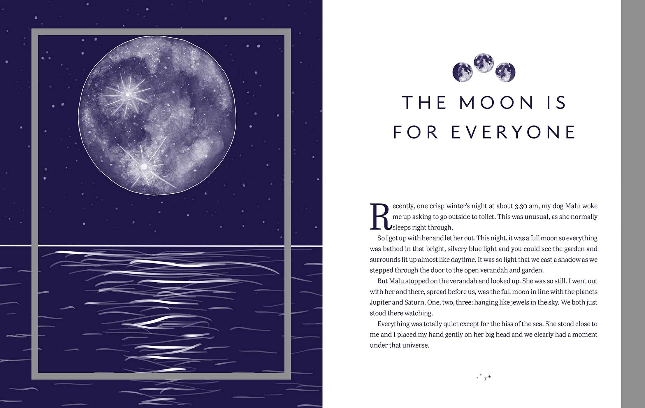 The Enchanted Moon | Stacey DeMarco - 2 | YEO