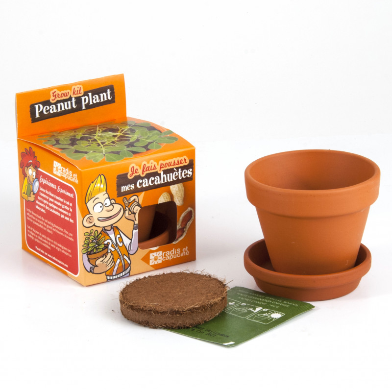 Kit pentru plantat - Arahide - Je fais pousser mes cacahuetes | Radis et Capucine - 1 | YEO