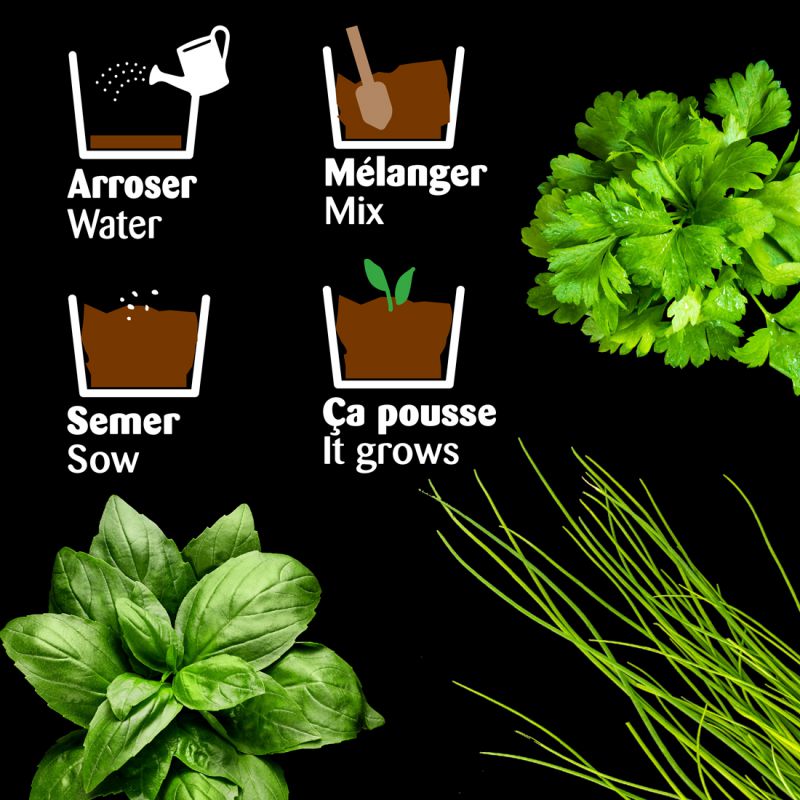 Set de plantat - Plante aromatice Bio | Radis et Capucine - 2 | YEO