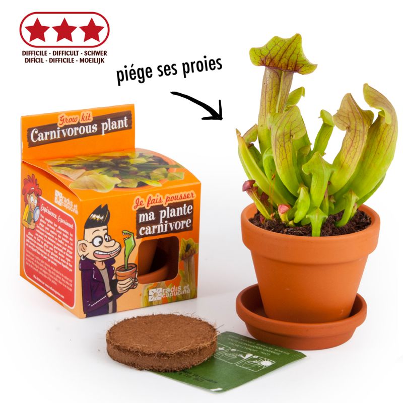 Kit pentru plantat - Planta carnivora | Radis et Capucine - 2 | YEO