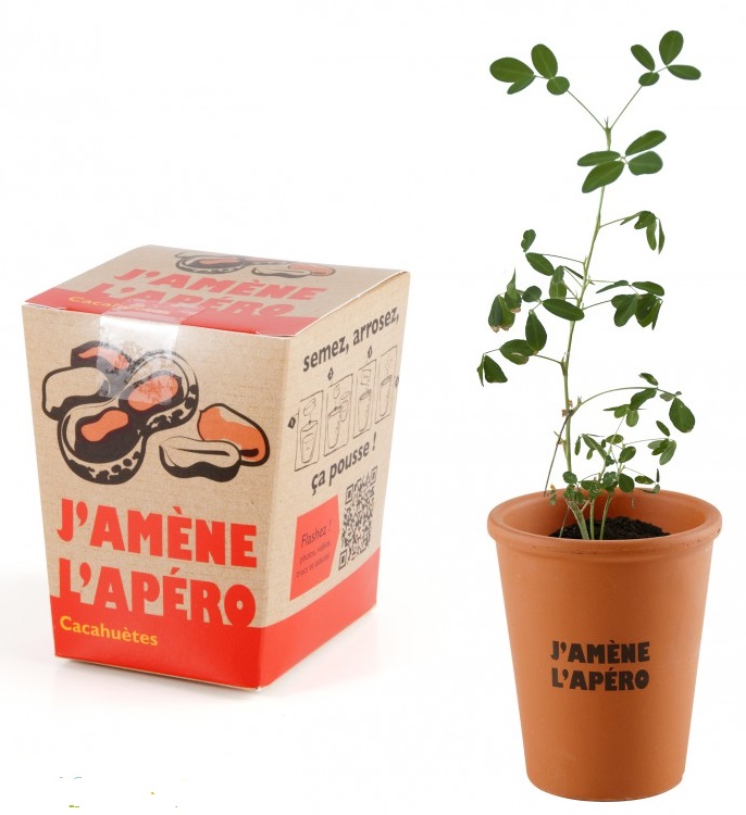 Kit pentru plantat - Arahide | Radis et Capucine - 2 | YEO