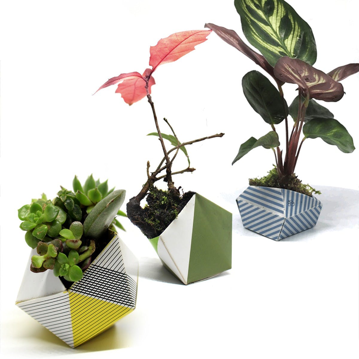 Set ghivece - Origami Plant Pot: Classic | OriBon - 5 | YEO