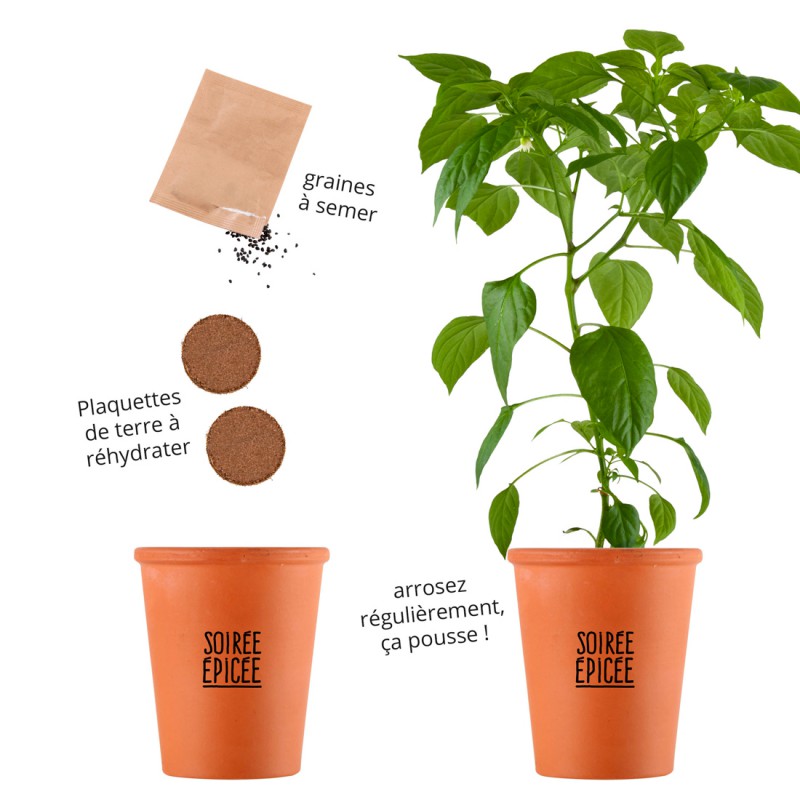 Kit pentru plantat - Ardei iute de Cayenne | Radis et Capucine - 1 | YEO