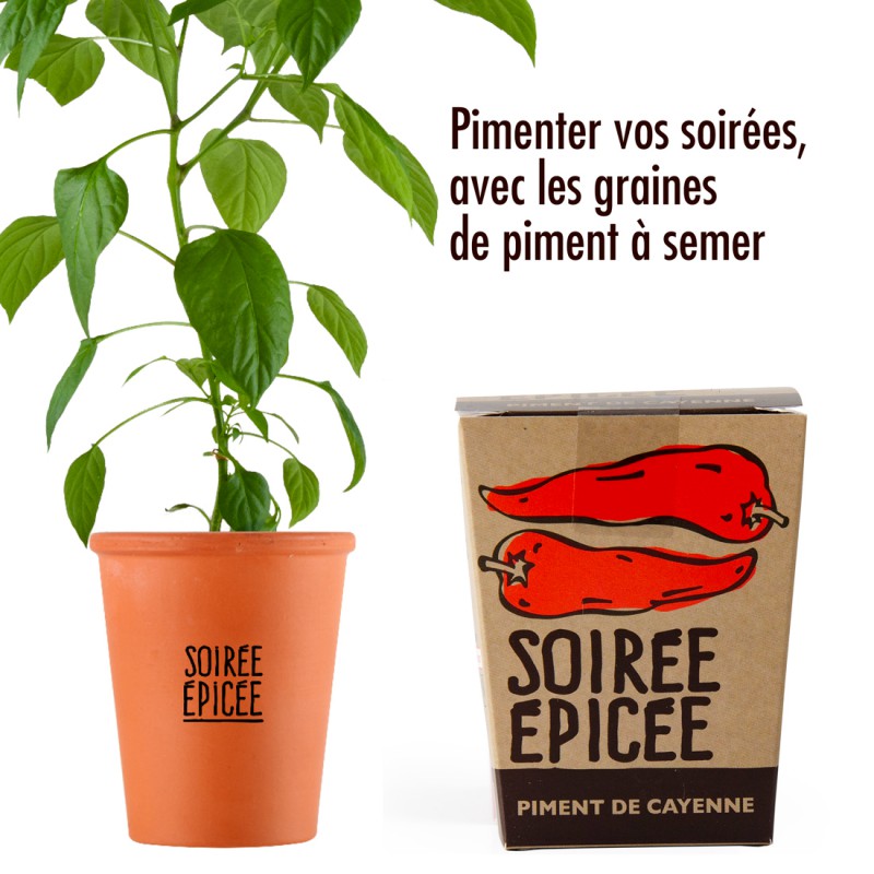 Kit pentru plantat - Ardei iute de Cayenne | Radis et Capucine - 2 | YEO