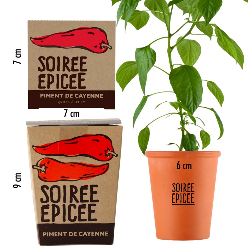 Kit pentru plantat - Ardei iute de Cayenne | Radis et Capucine - 3 | YEO