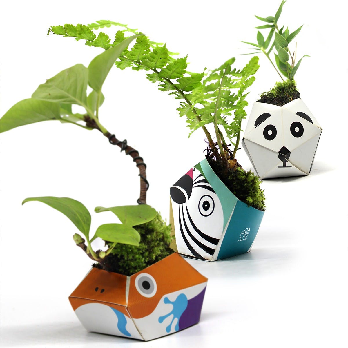 Kit de plantat - Origami Plant Pot: Urban Jungle Kit | OriBon - 7 | YEO