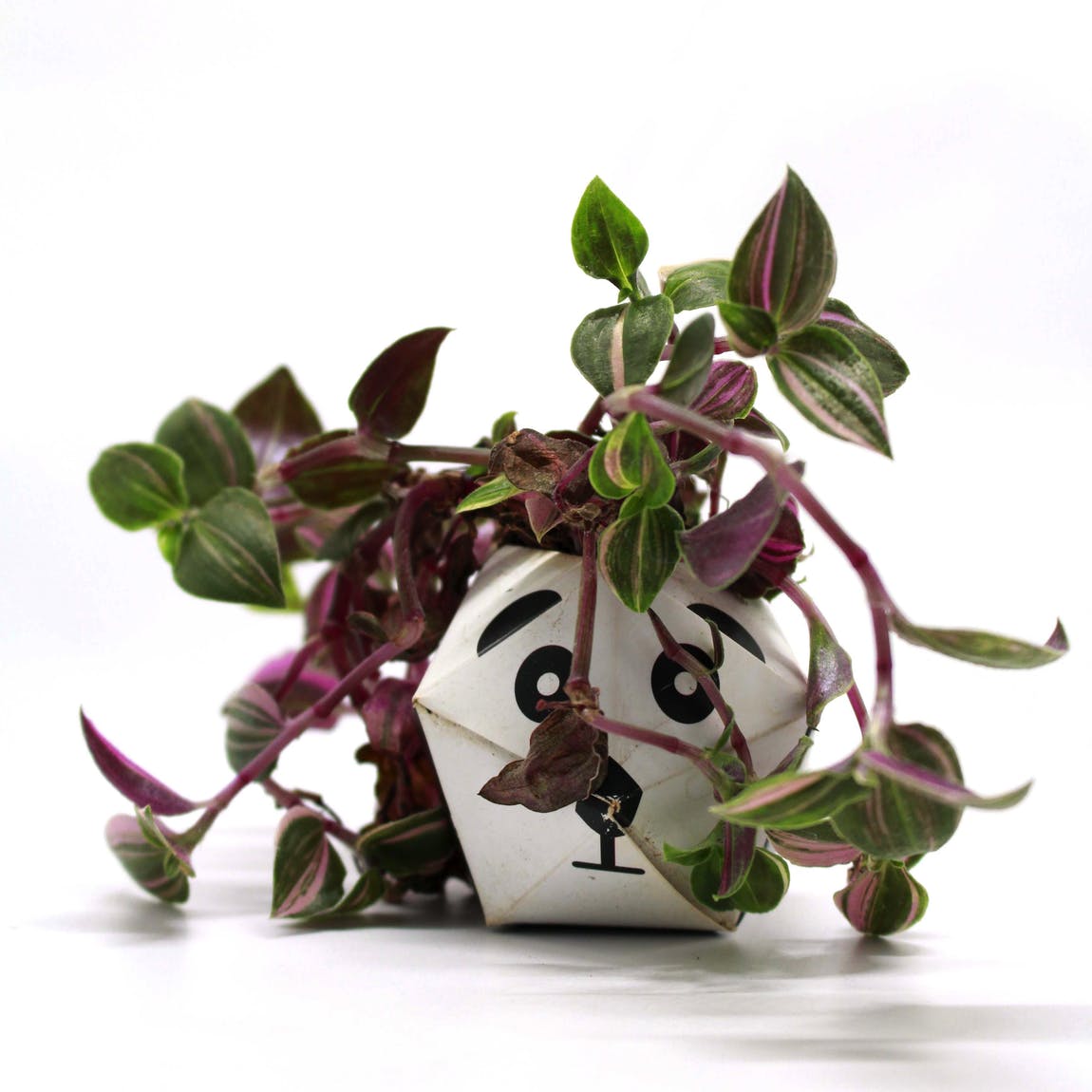 Kit de plantat - Origami Plant Pot: Urban Jungle Kit | OriBon - 4 | YEO