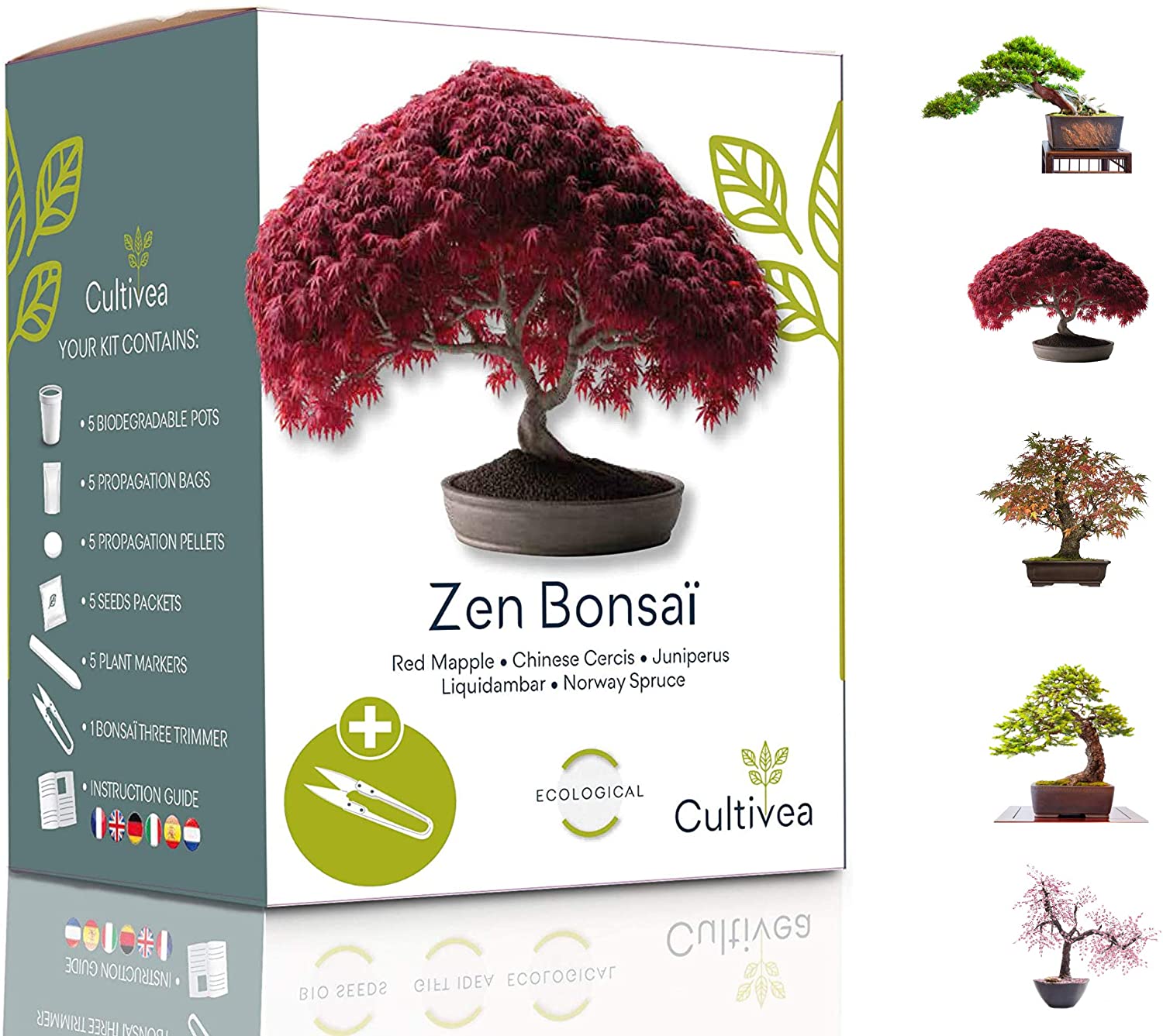 Kit pentru plante - 5 tipuri de bonsai | Cultivea