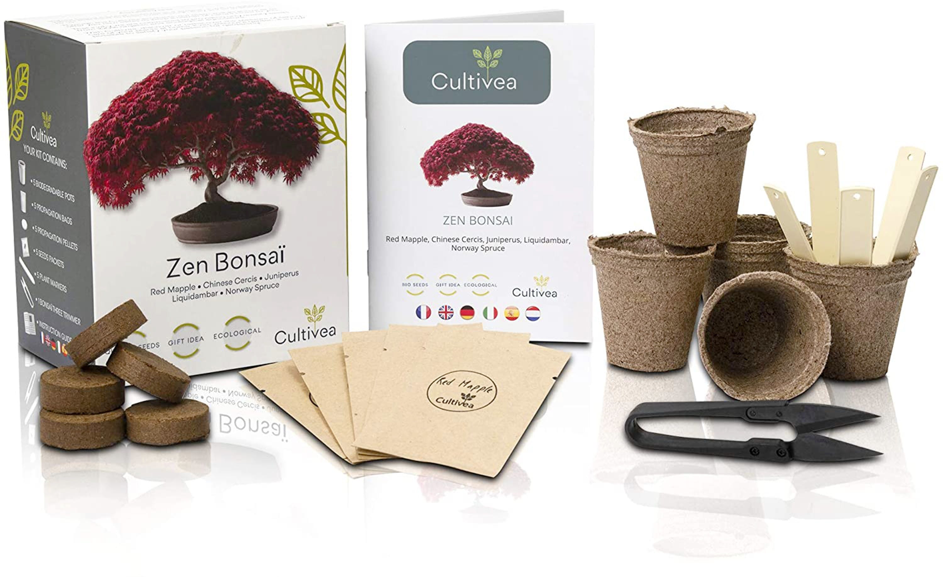 Kit pentru plante - 5 tipuri de bonsai | Cultivea - 1 | YEO