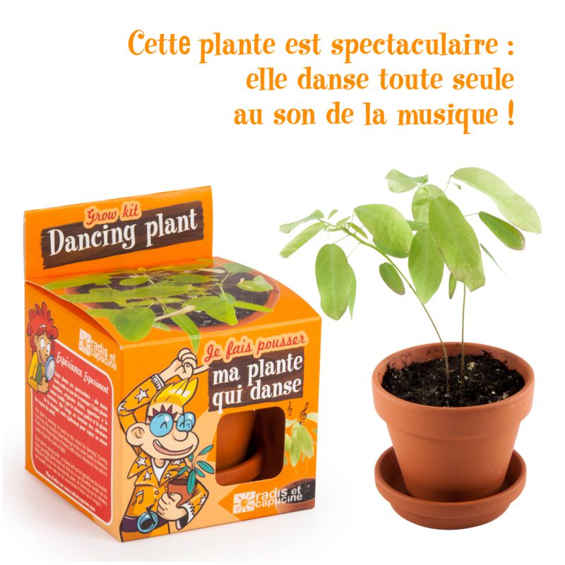 Kit pentru plantat - Plante dansatoare | Radis et Capucine - 2 | YEO