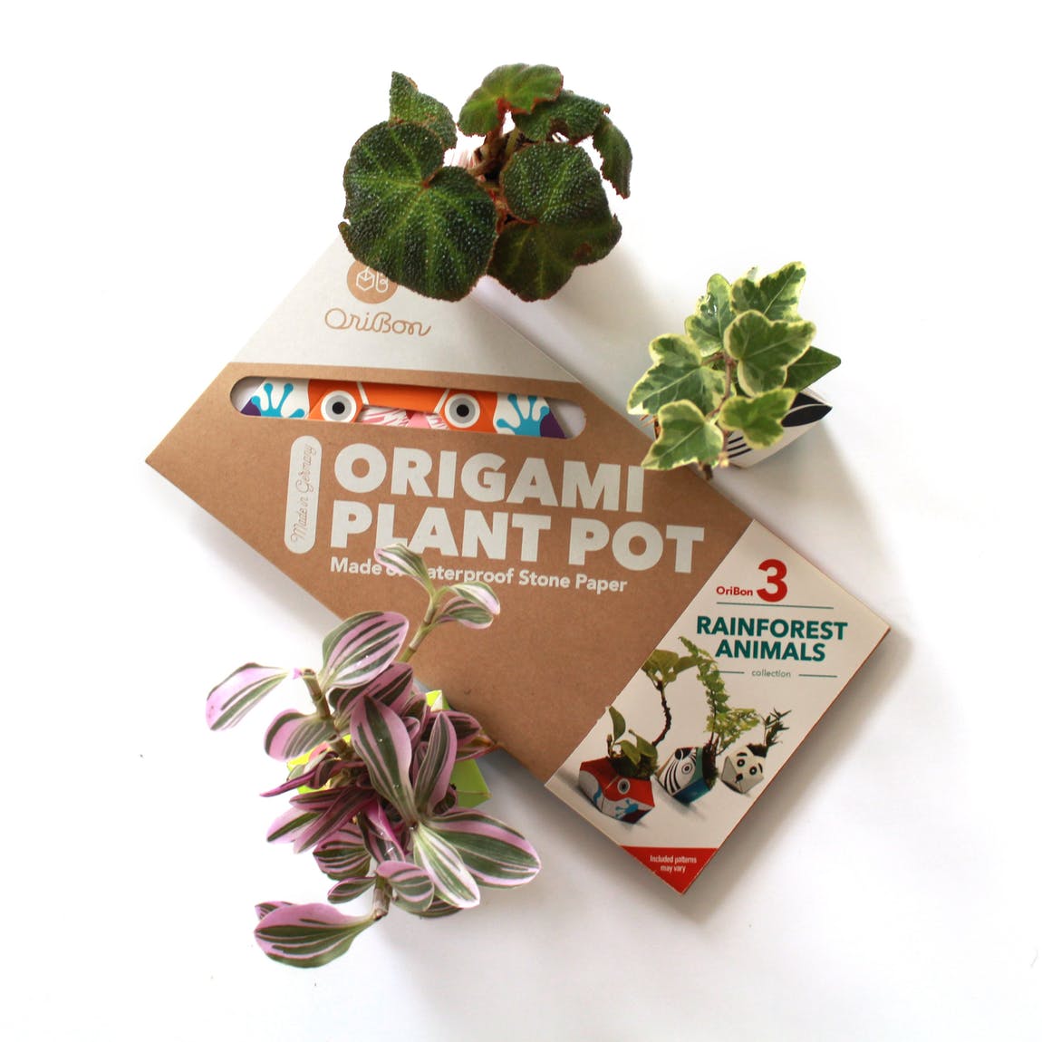 Set ghivece - Origami Plant Pot: Rainforest Animals | OriBon - 2 | YEO