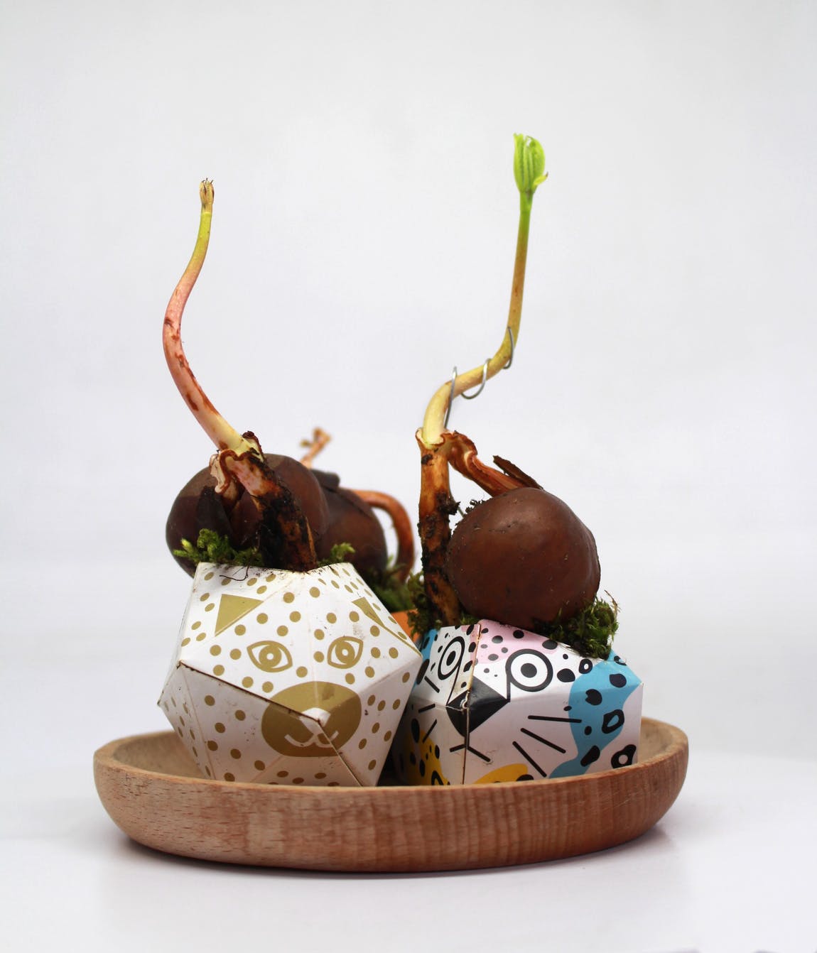 Set ghivece - Origami Plant Pot: Rainforest Animals | OriBon - 5 | YEO