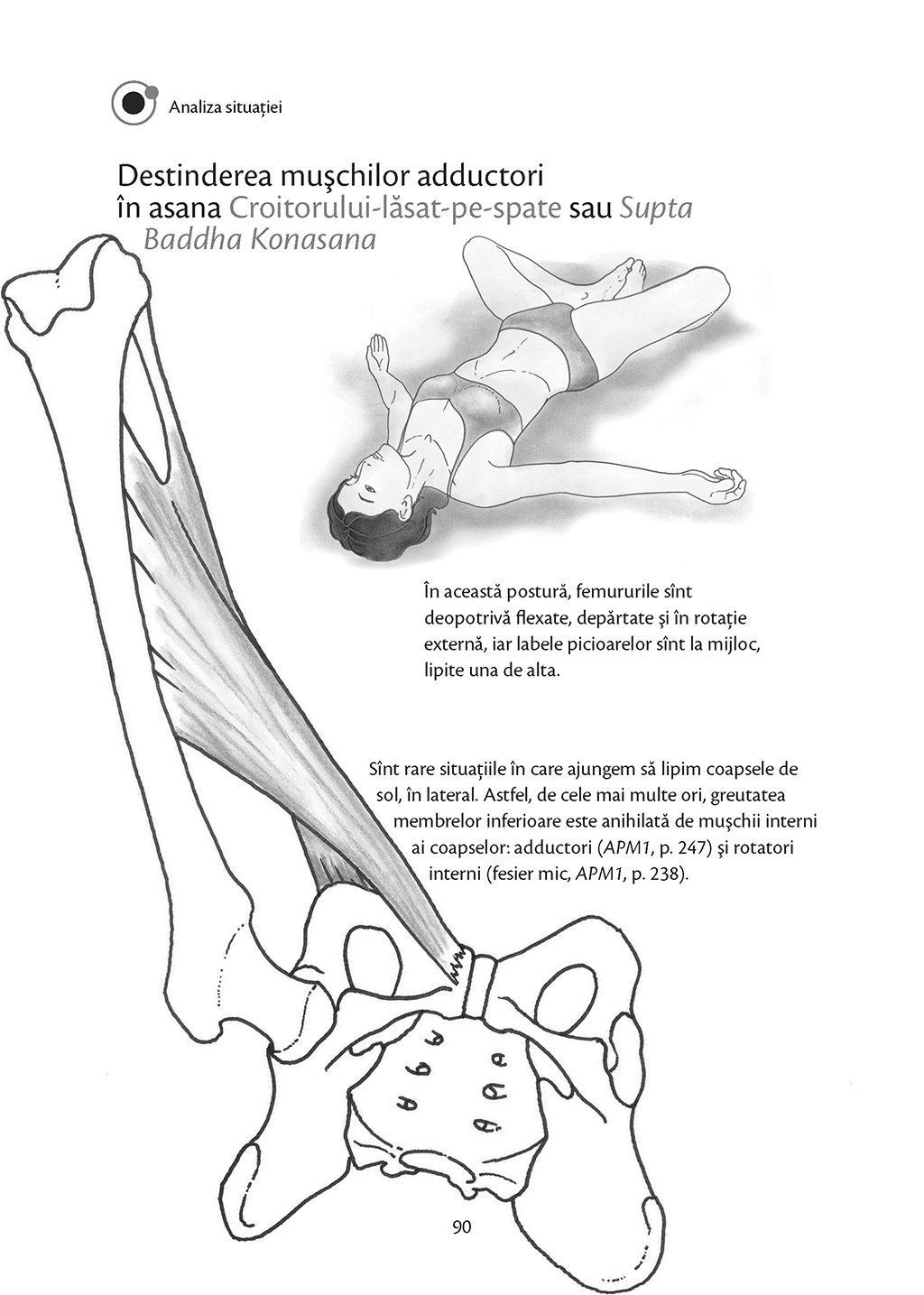 Anatomie pentru yoga | Blandine Calais-Germain De La Carturesti Carti Dezvoltare Personala 2023-10-01