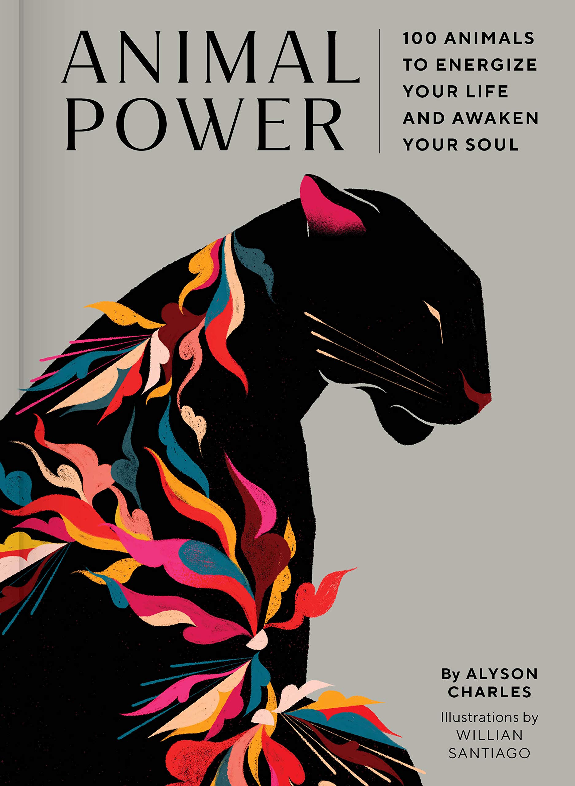 Animal Power | Alyson Charles