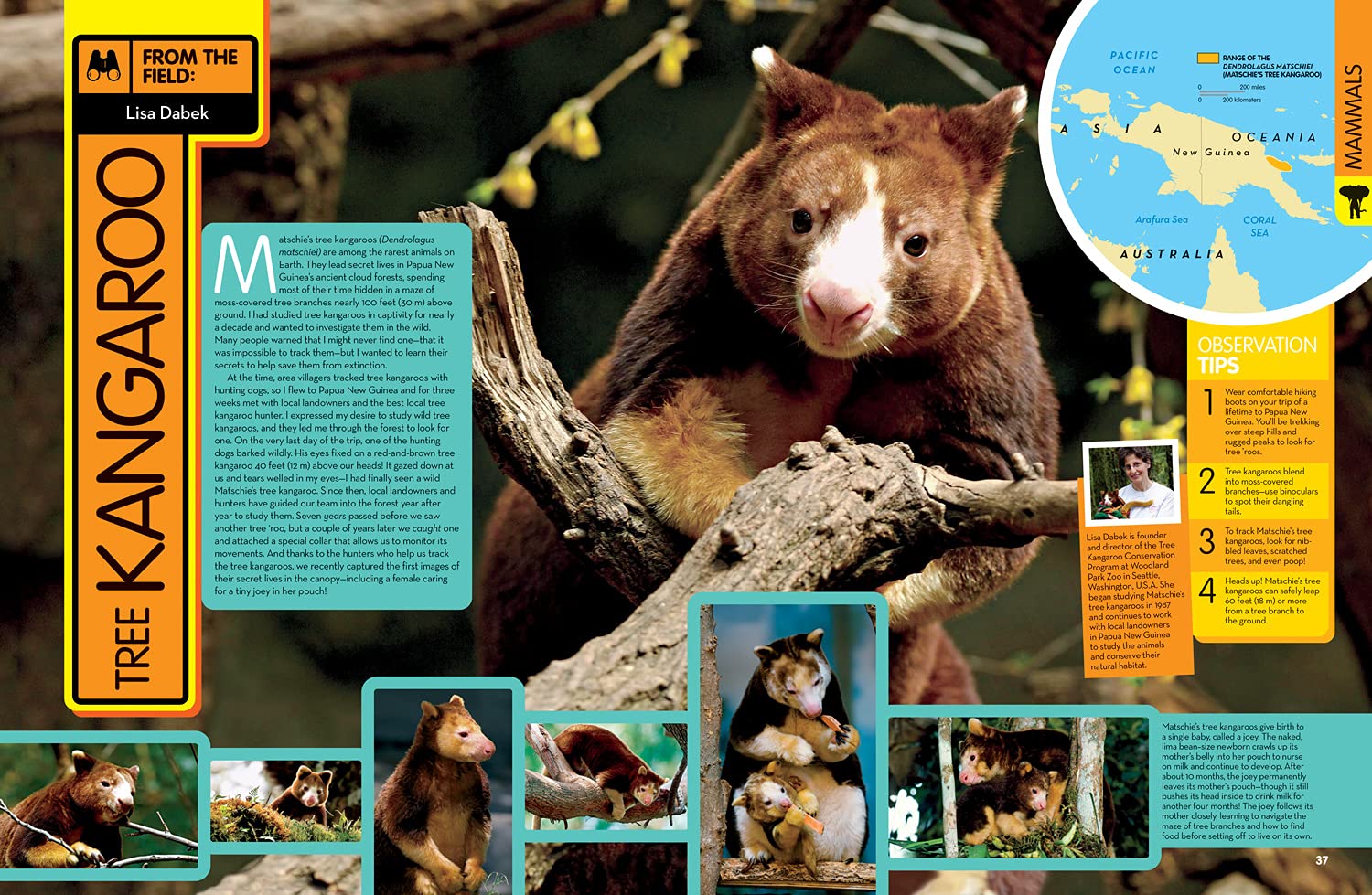 Animal Encyclopedia | Angela Modany, National Geographic Kids - 2 | YEO