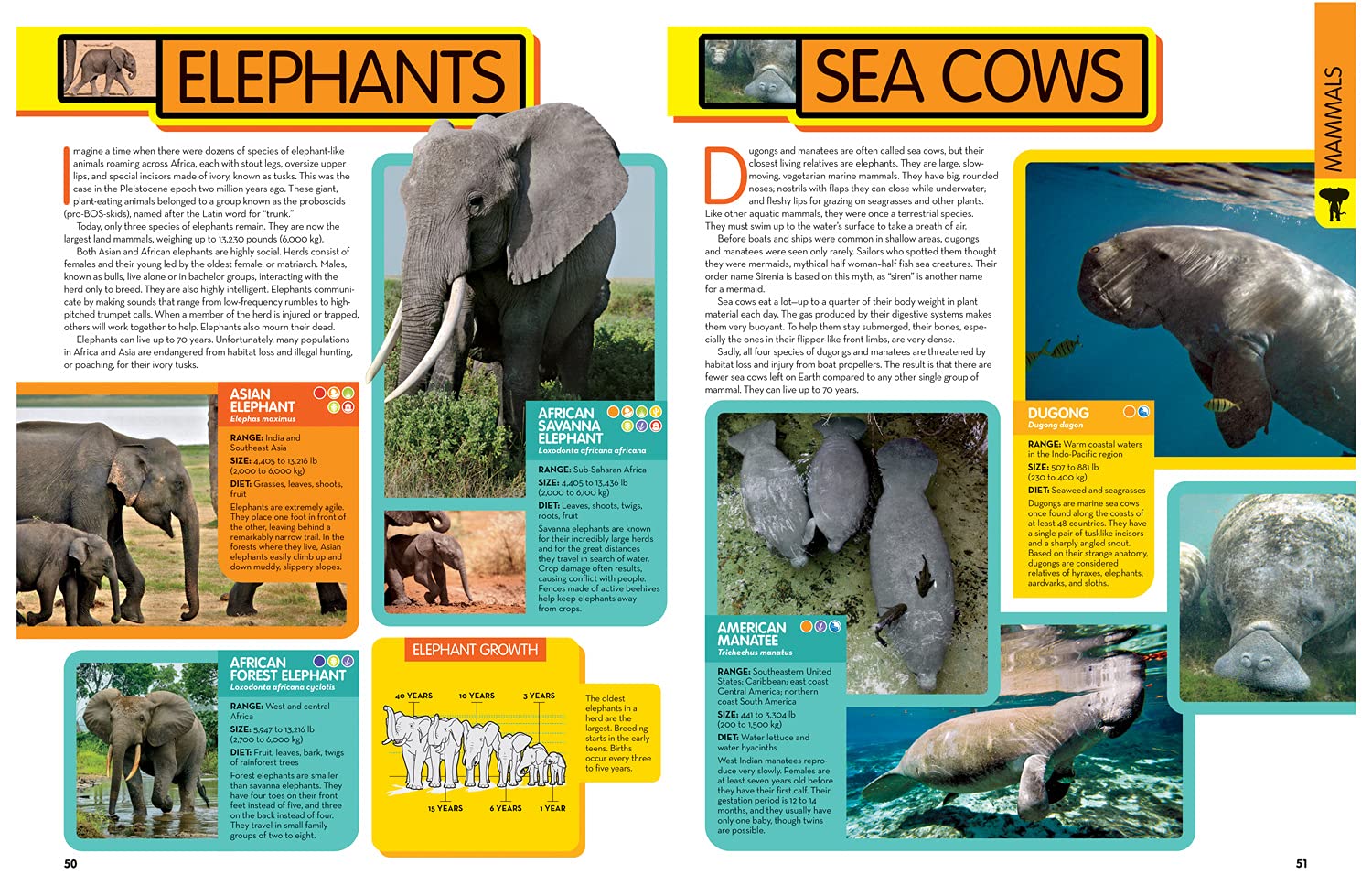 Animal Encyclopedia | Angela Modany, National Geographic Kids - 3 | YEO