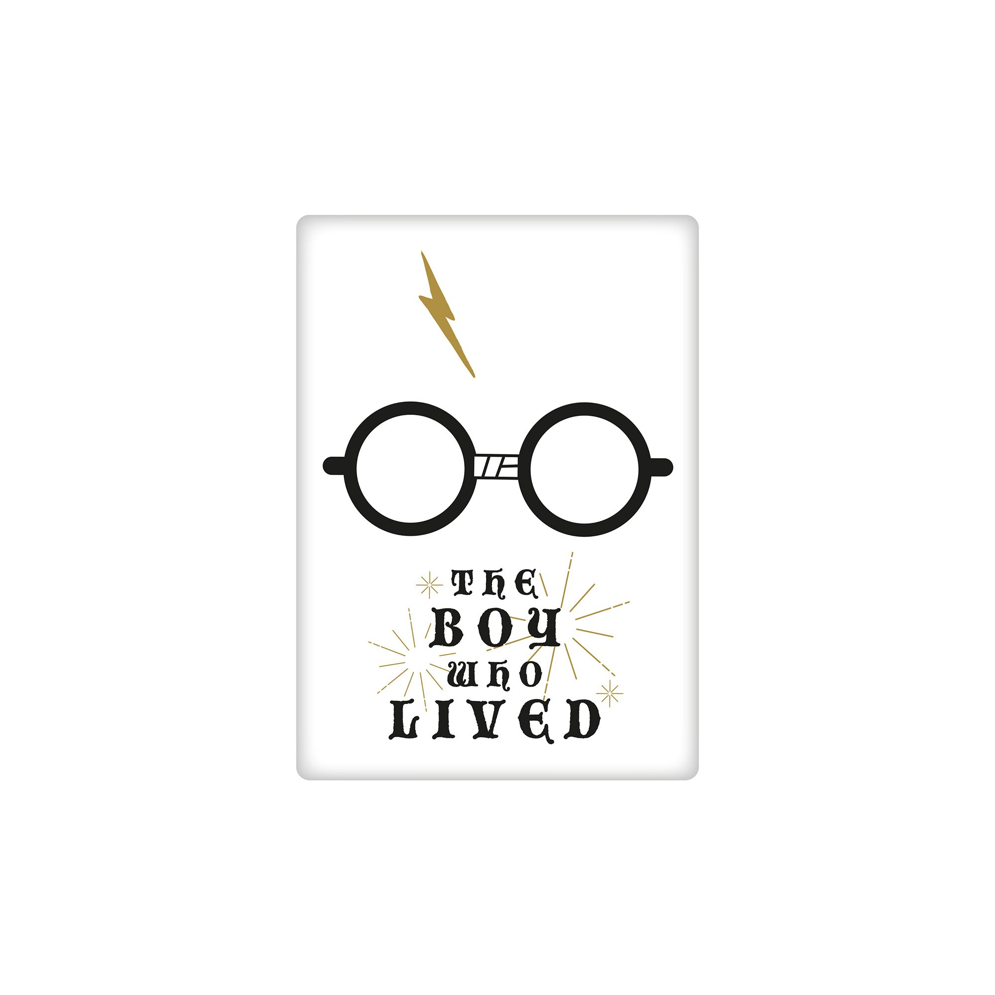 Magnet metal - Harry Potter - The boy who lived | Grupo Erik